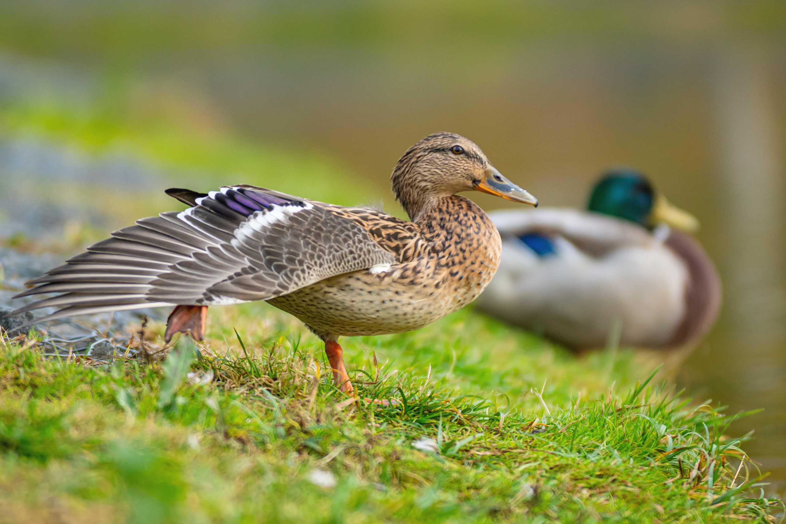 Фотограф в Москве Демьян Лопатов