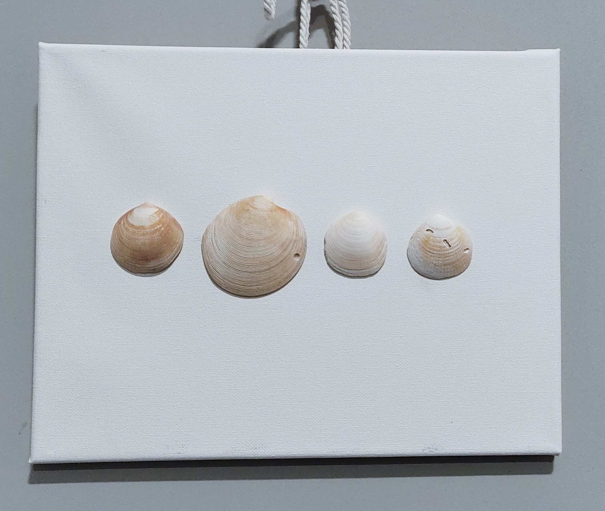 КУКУМАРИЯ-25. ПЕРСОНАЛЬНЫЙ ВЫСТАВОЧНЫЙ ПРОЕКТ. Художник, преподаватель дизайна, начинающий сценограф и режиссёр во Владивостоке