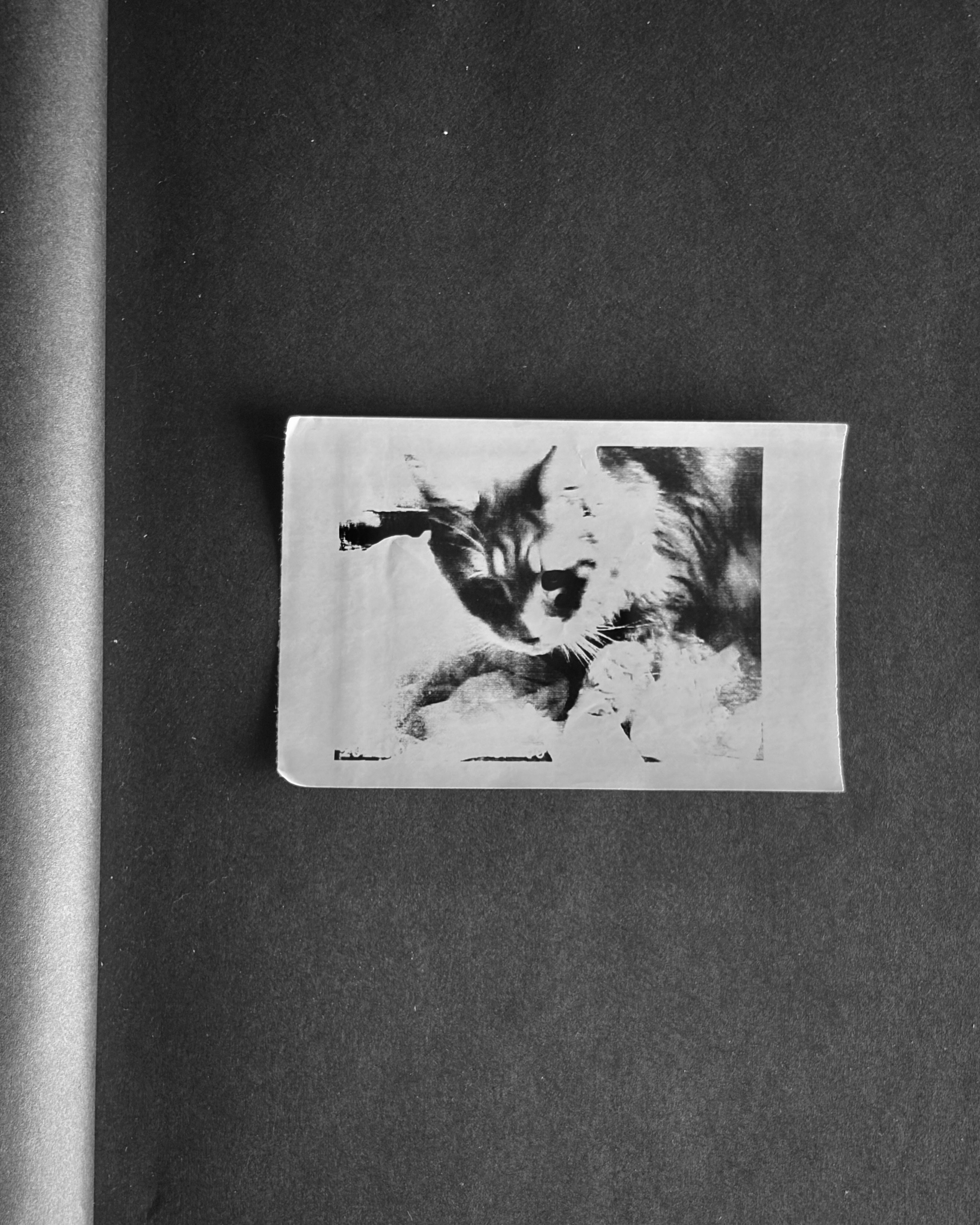 Fade. Художественная фотография. Фотография на плёнку. Илья Вараксин
