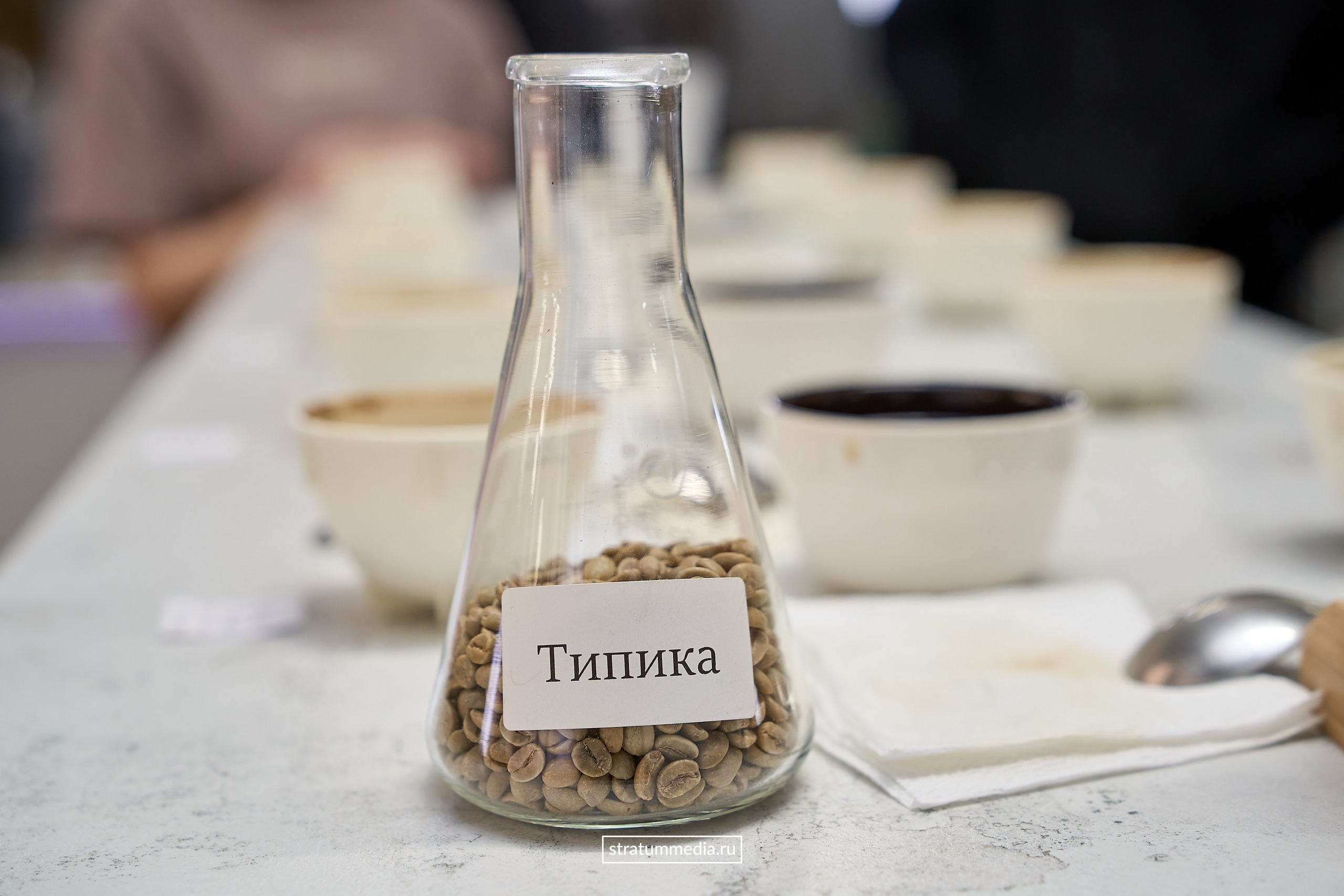 Дегустация новых сортов кофе от Coffee Element. Главная