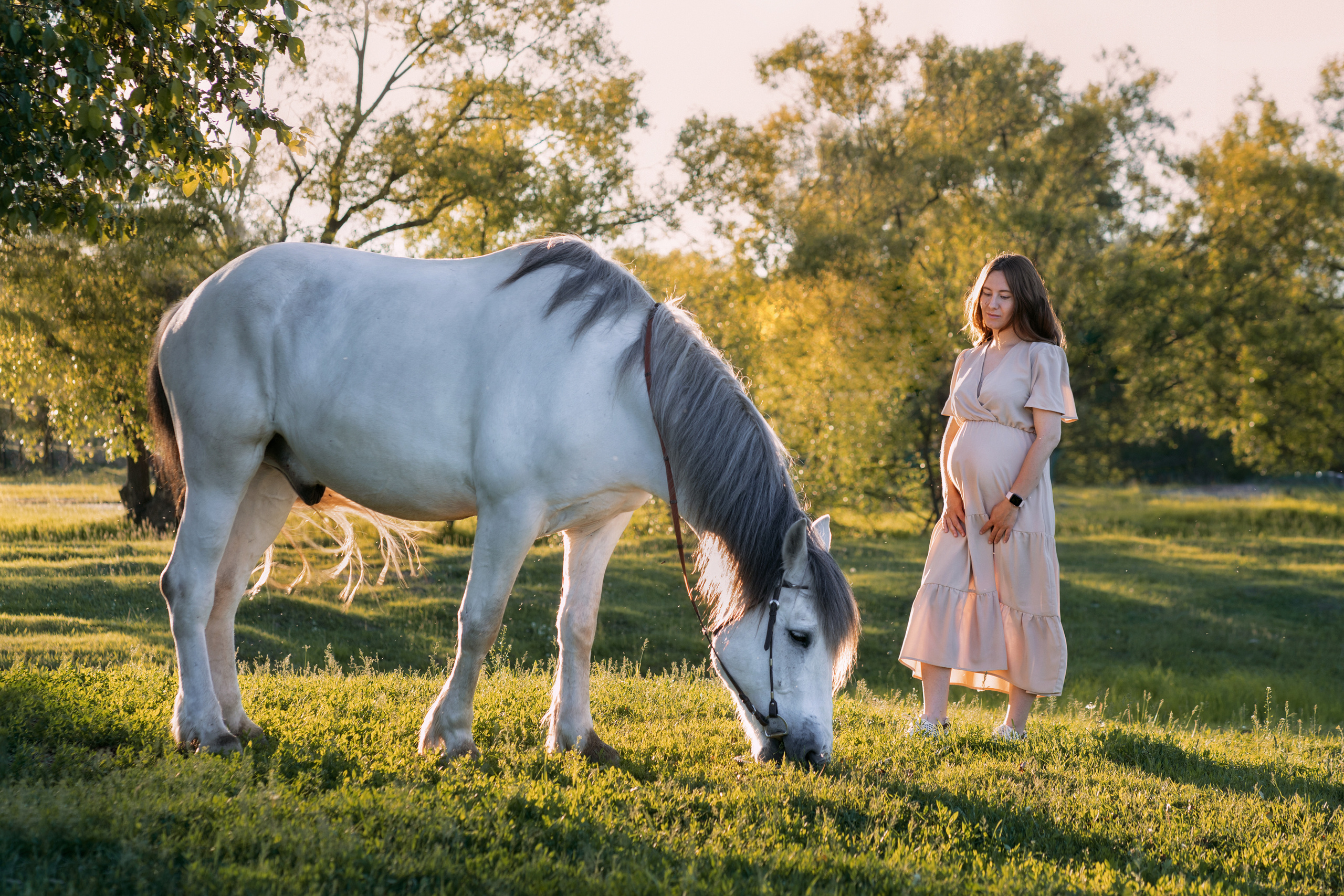 Анастасия, в ожидании. Семейный и детский фотограф в Хабаровске Ковалева Таисия