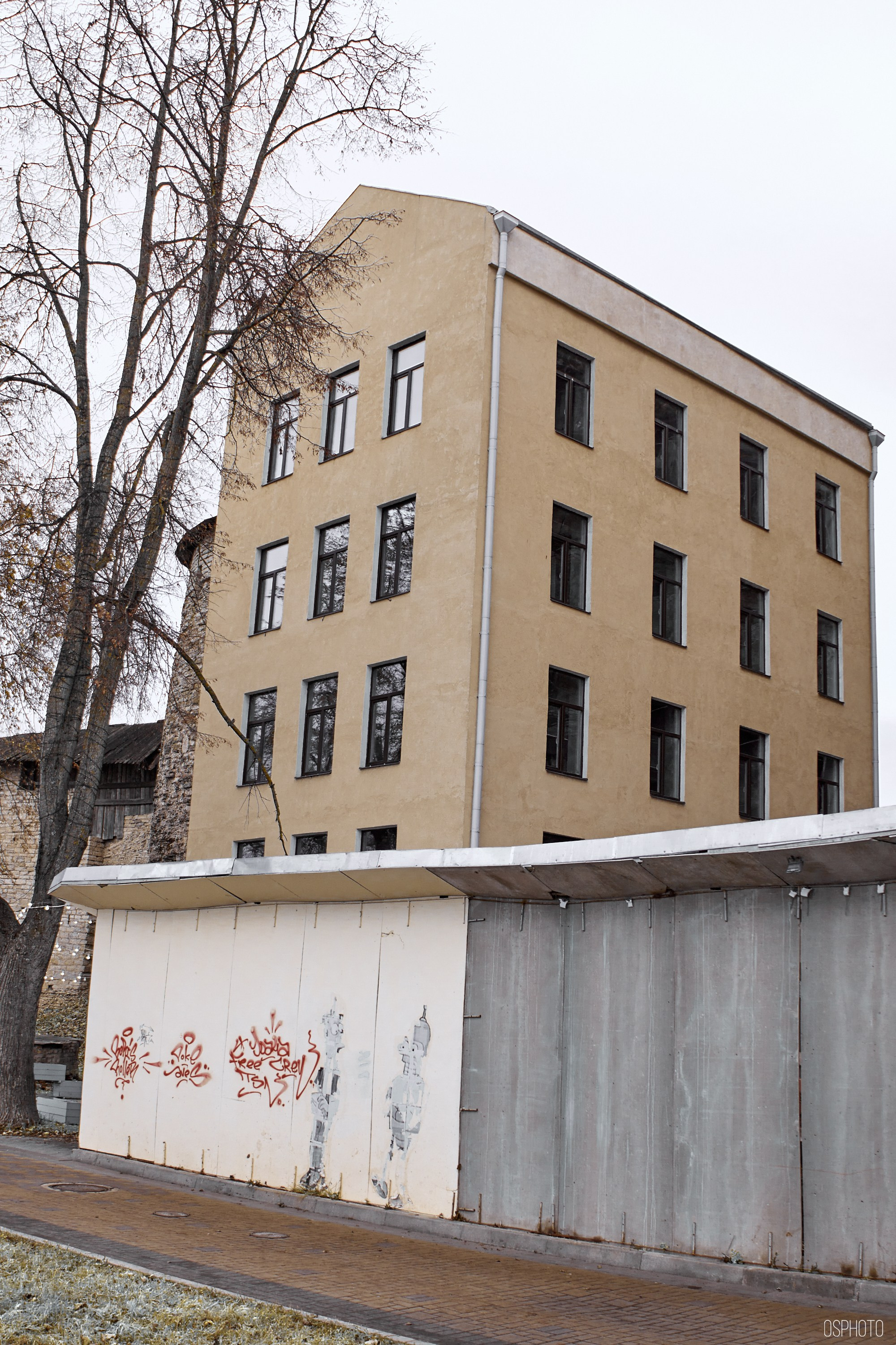 Псков. Ноябрь. Фотографъ Сергѣевъ. Поймать мгновеніе