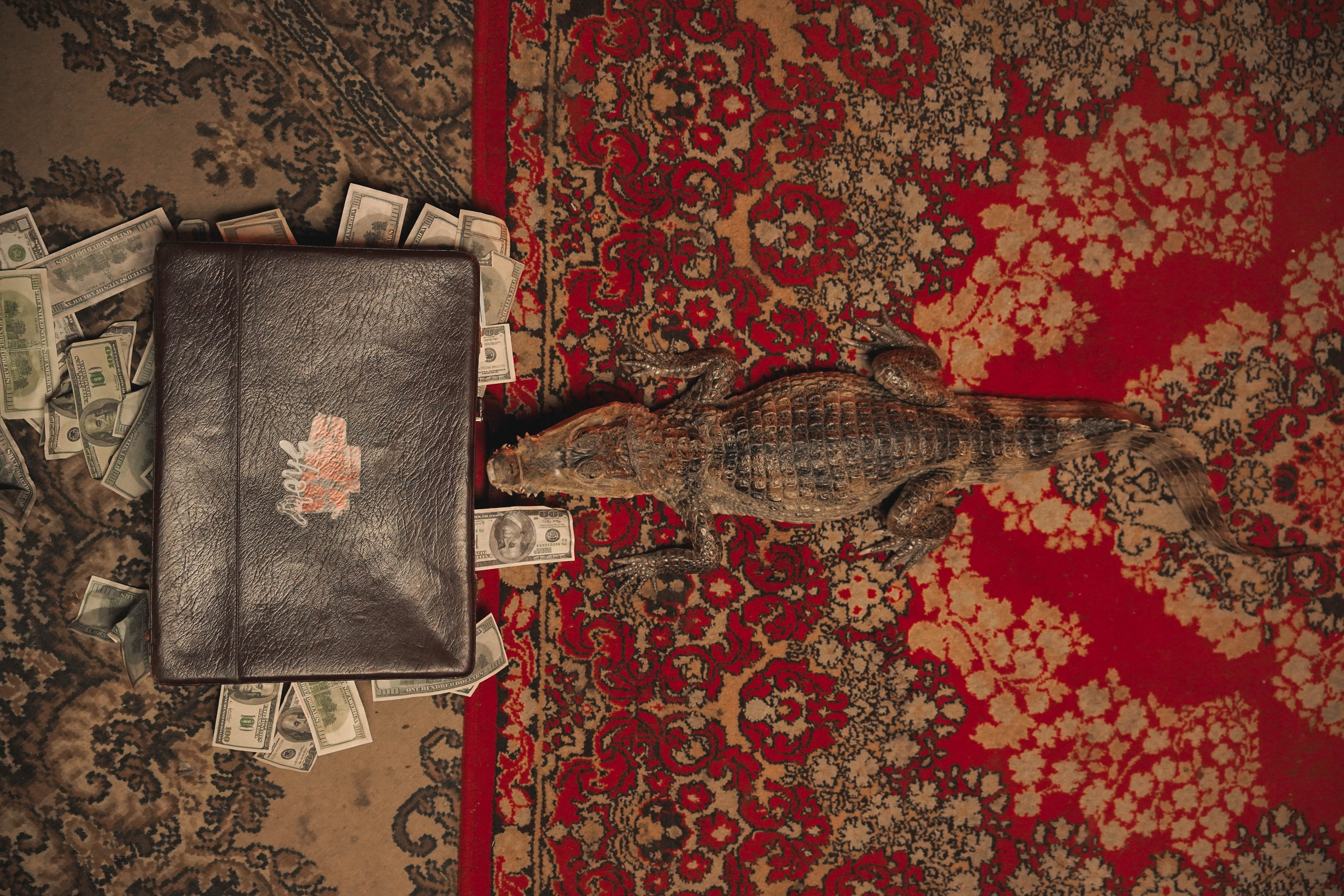 За кадром шоу «Подсечка». Beardy Pix