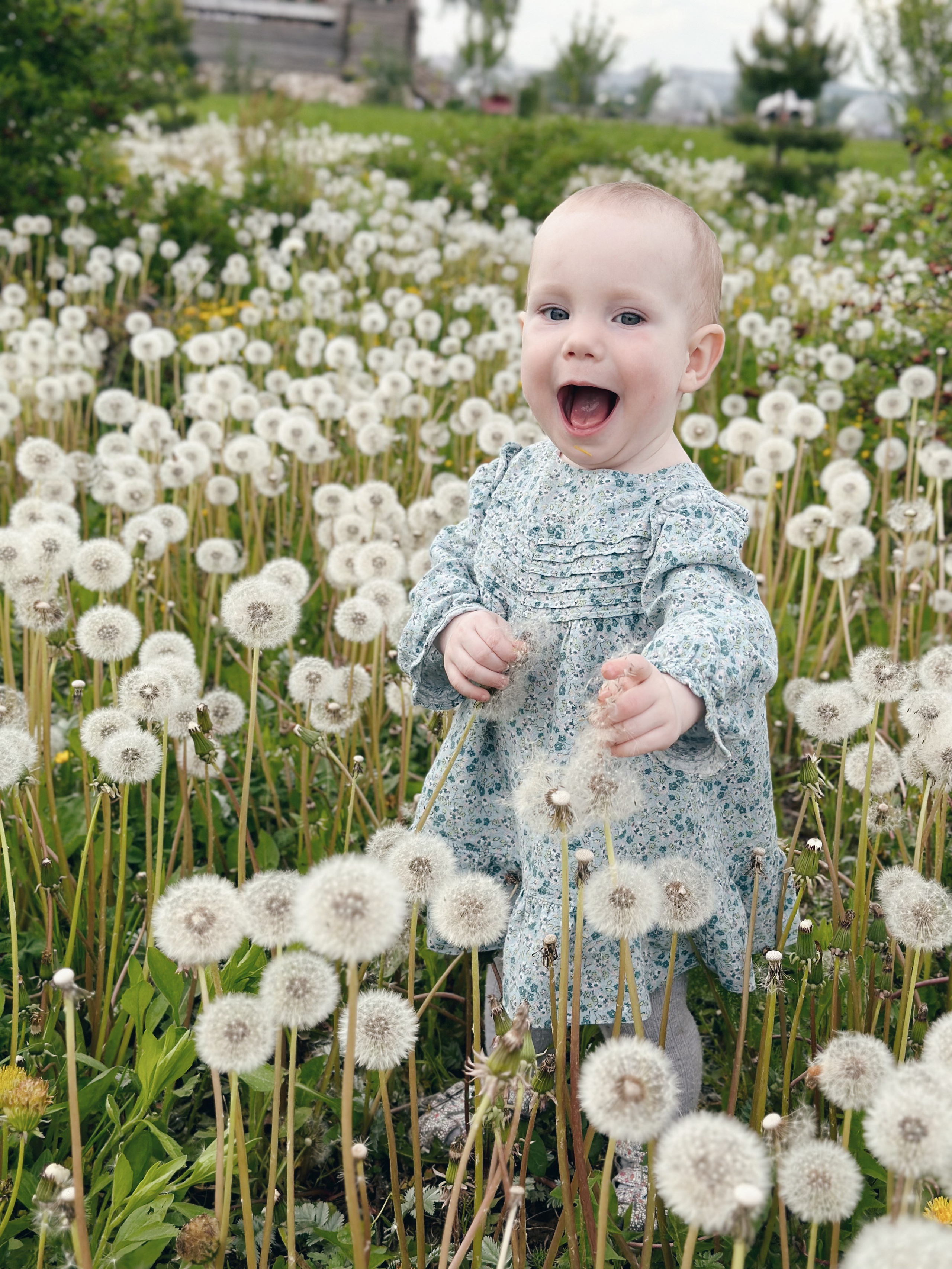 Главная. Семейный фотограф и видеограф. Москва