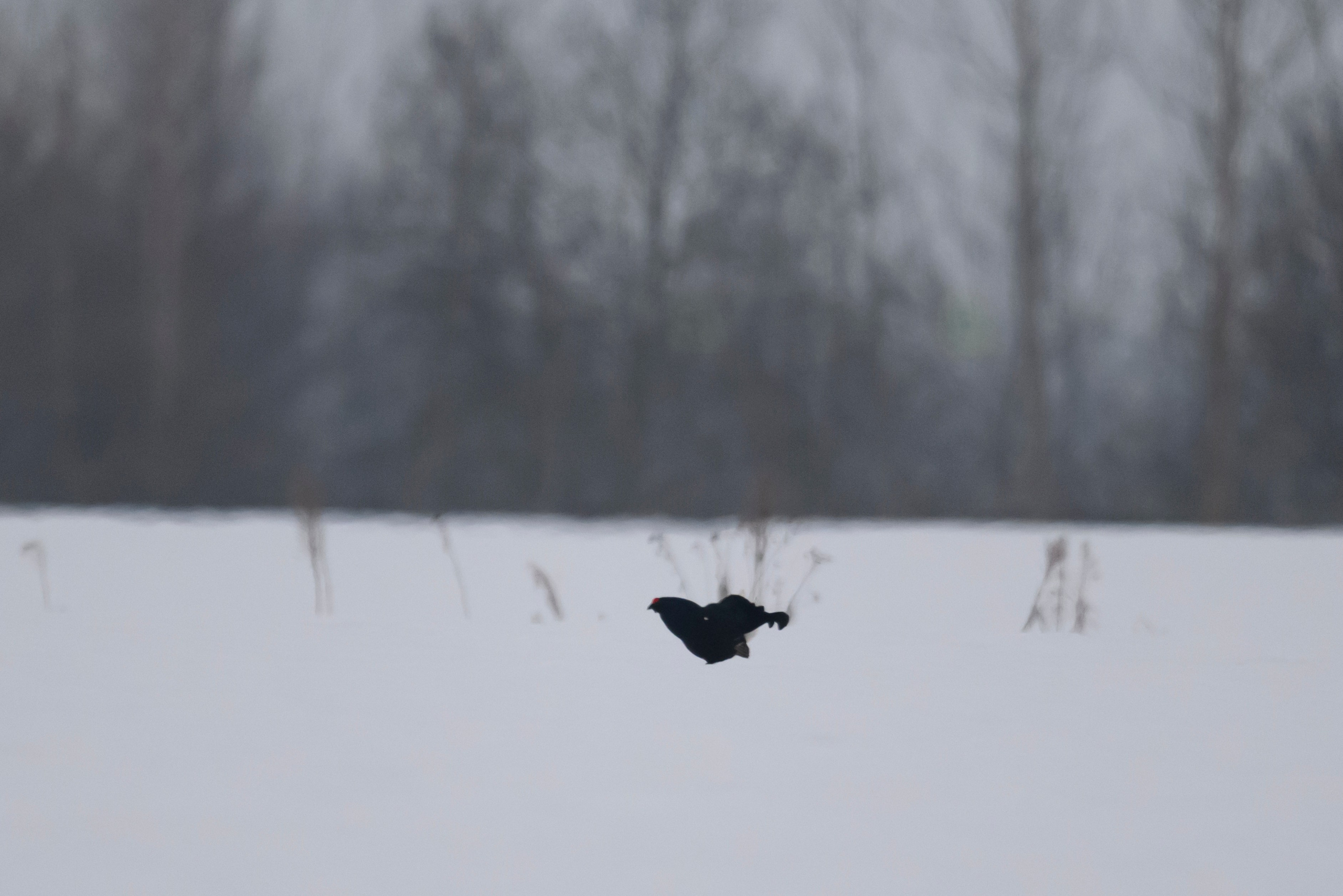 Пустоватенько. Фотограф Сергей Пупонин