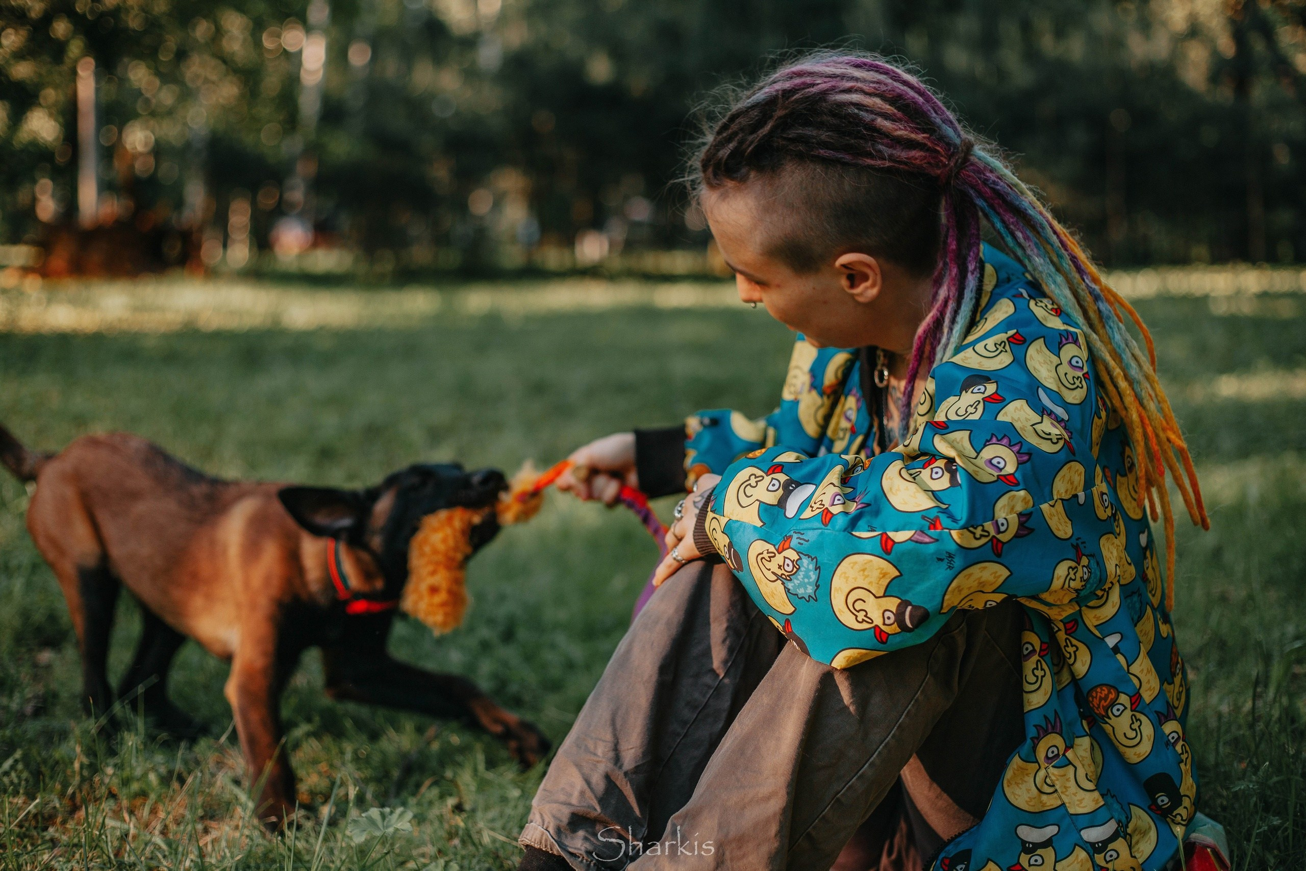 О нас. BLGKV питомник собак