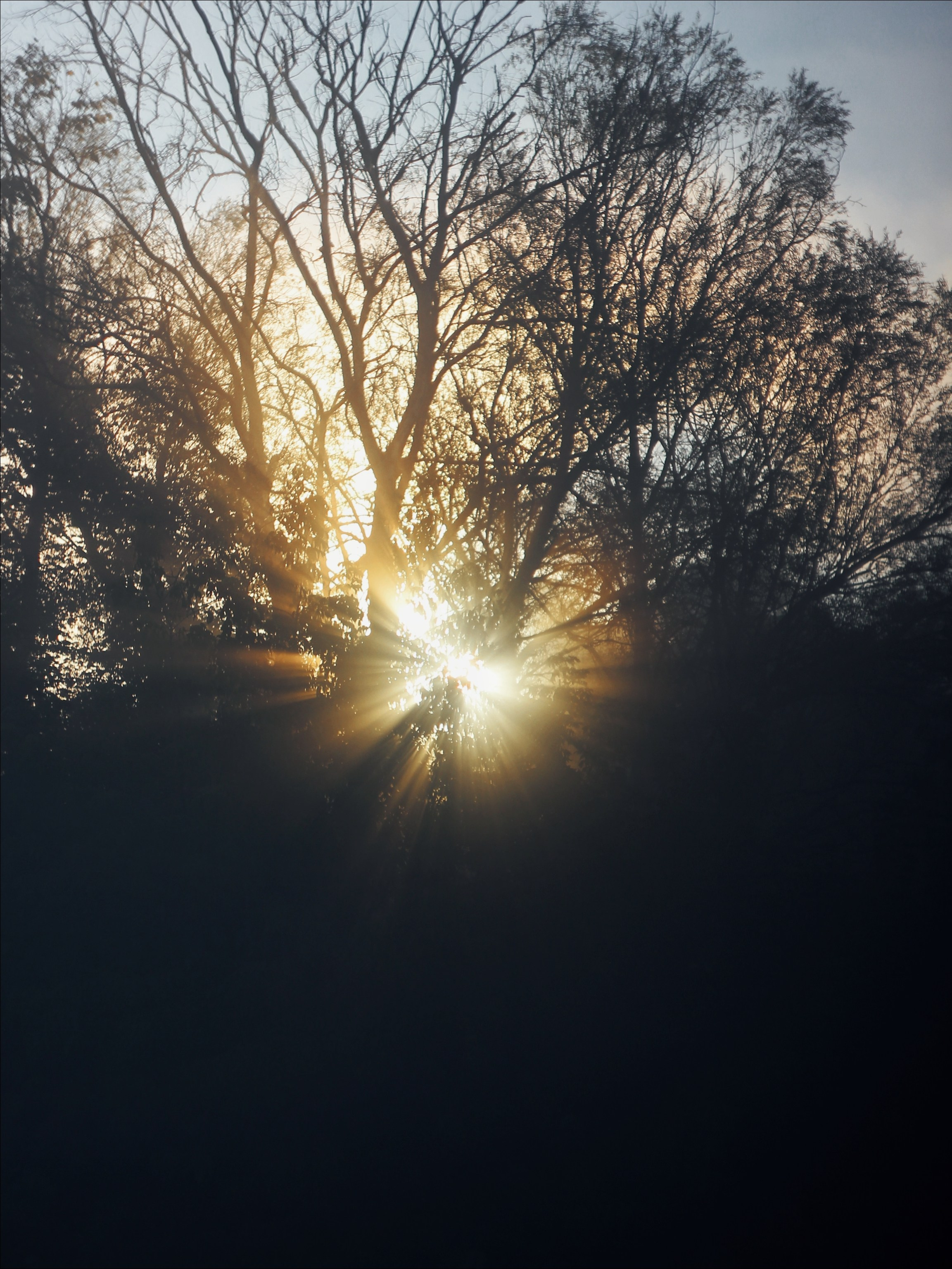 Опустошенность. С любовью, фотохудожник