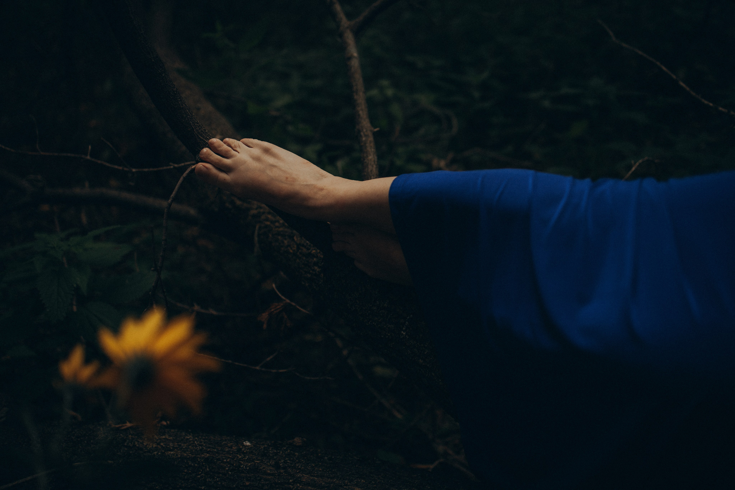 Алиса. Семейный и детский фотограф в Нижнем Новгороде Анурьева Алена