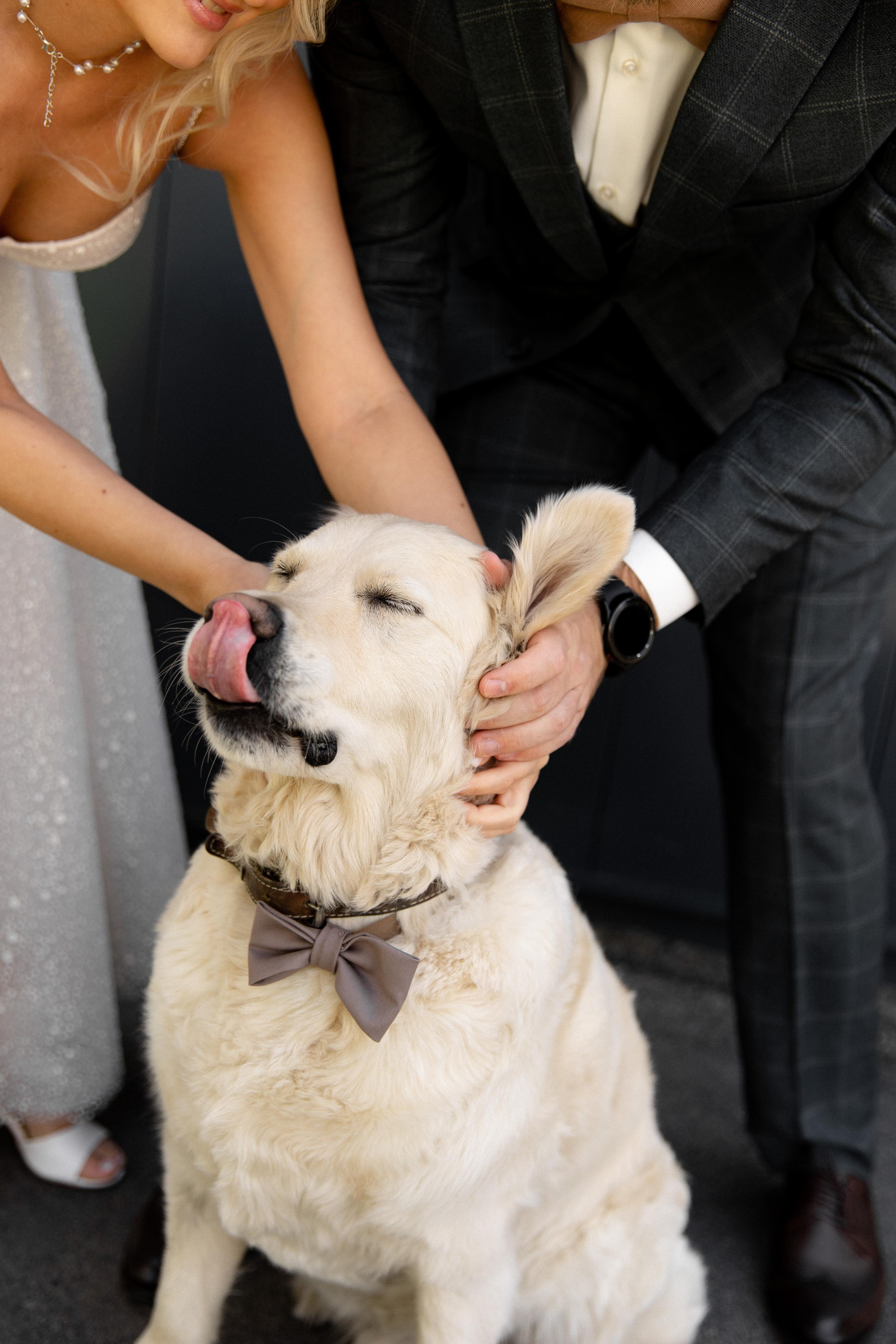 A&S. Фотограф в Новосибирске и Москве