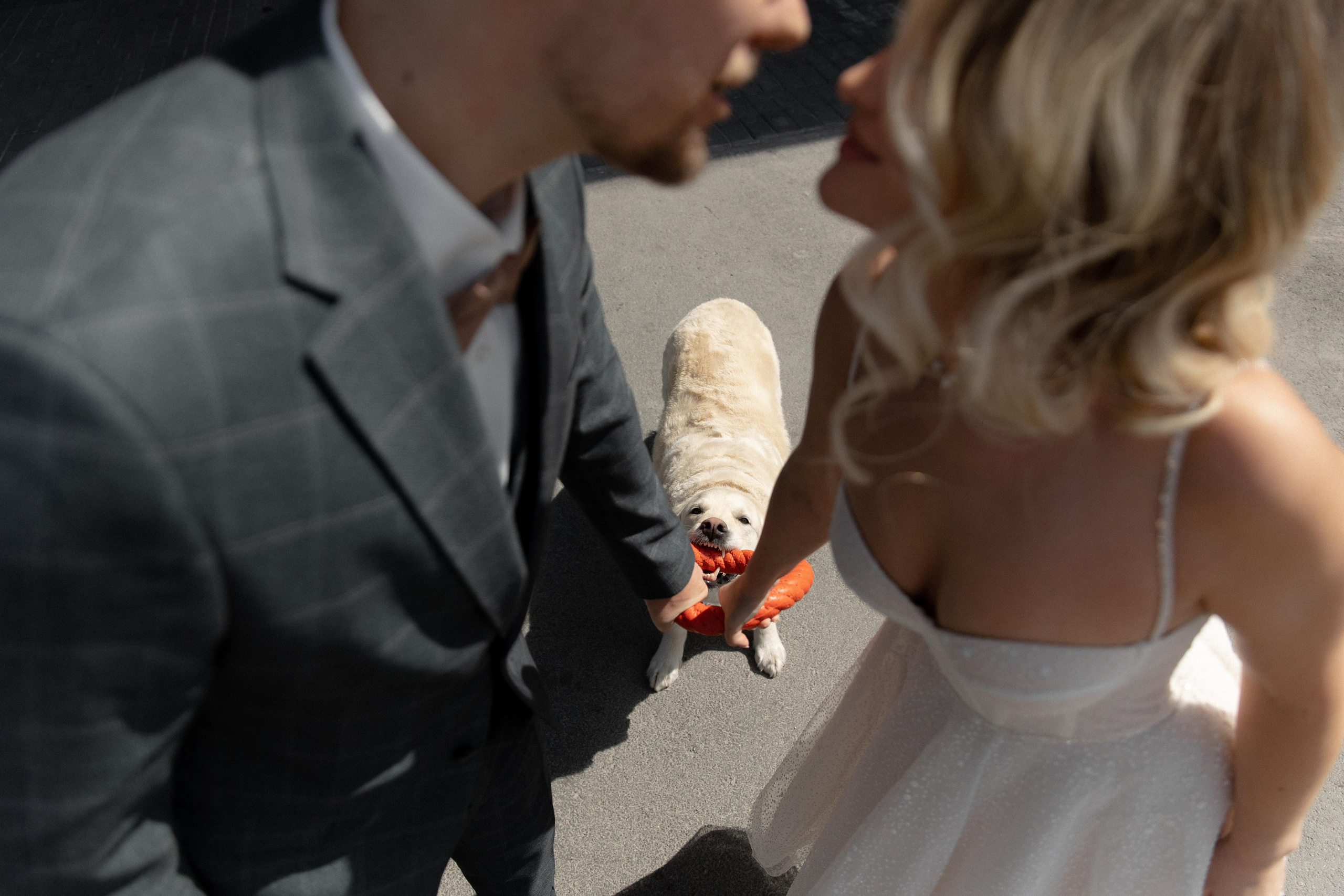 A&S. Фотограф в Новосибирске и Москве