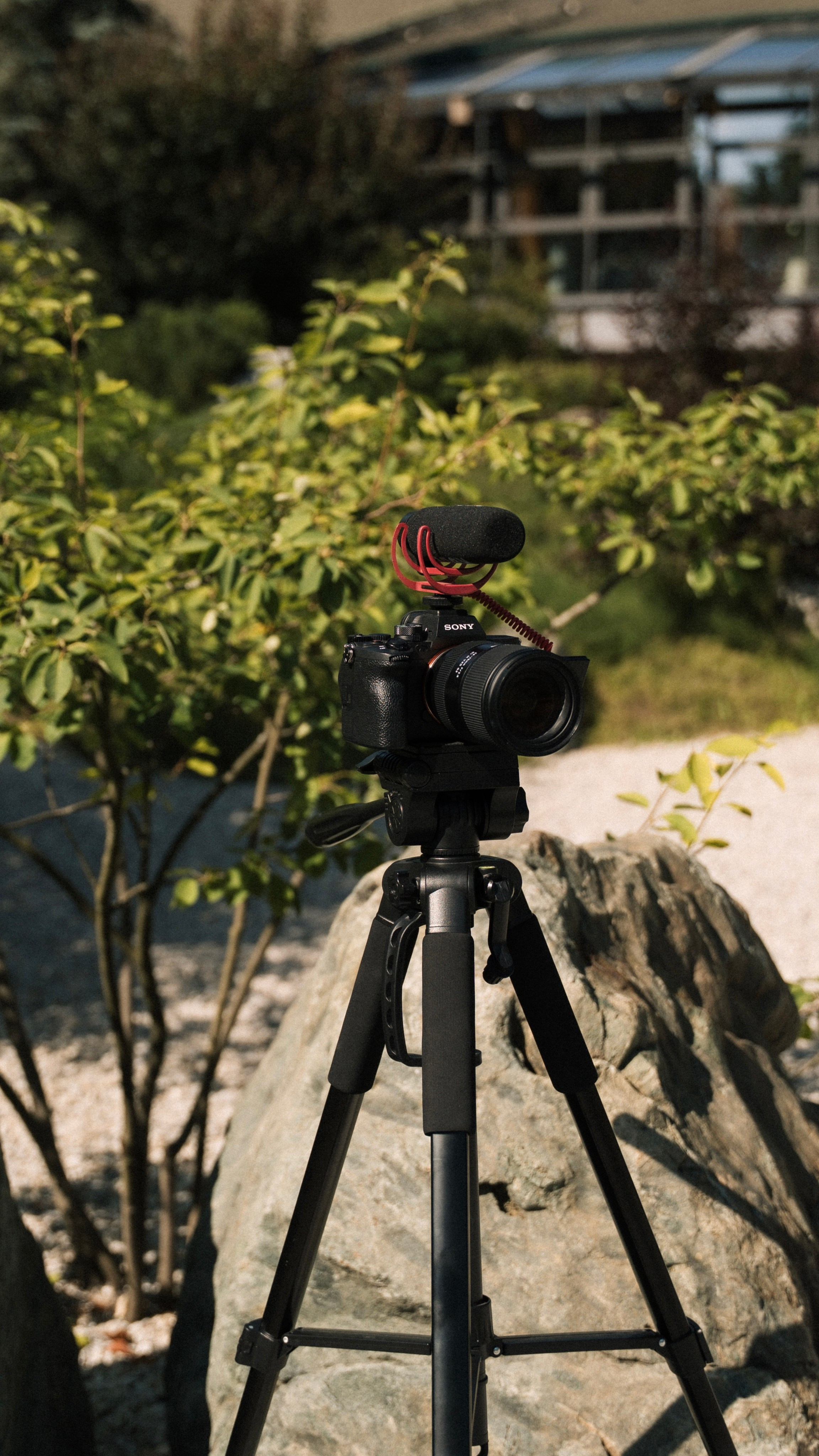 ГЛАВНАЯ. Свадебный фотограф и видеограф в Калуге | Анна Prednaznacheniee