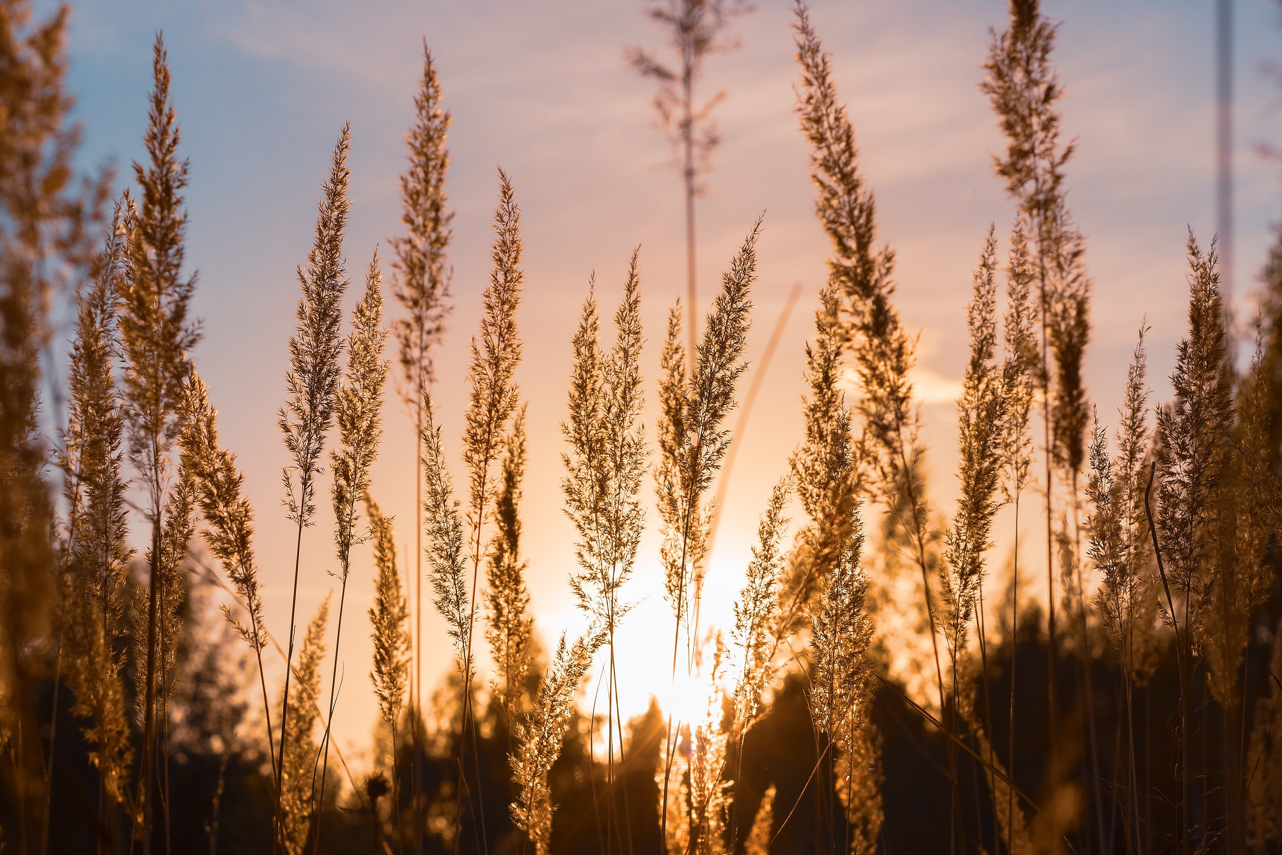 Есть люди «закаты» и люди «рассветы». Аmat Victoria Сuram