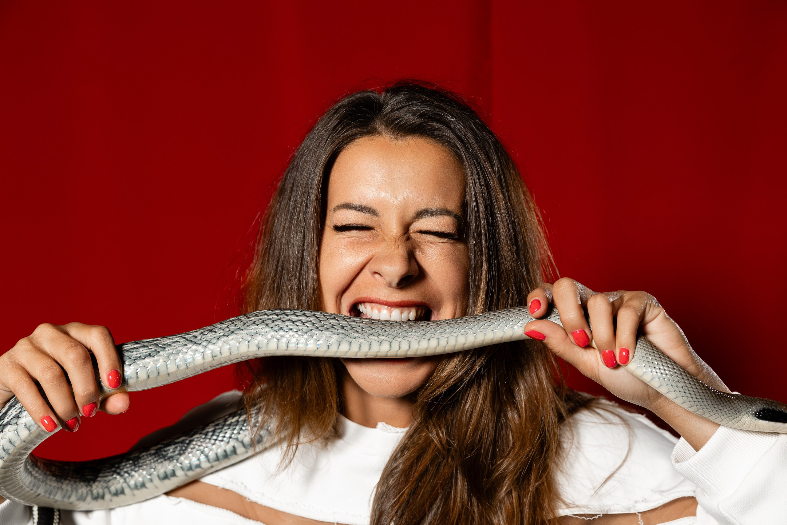 Фотосессия со змеями на выставке экзотических животных ДОМ ДРАКОНОВ. Фотограф в Санкт-Петербурге — Сергей Петров