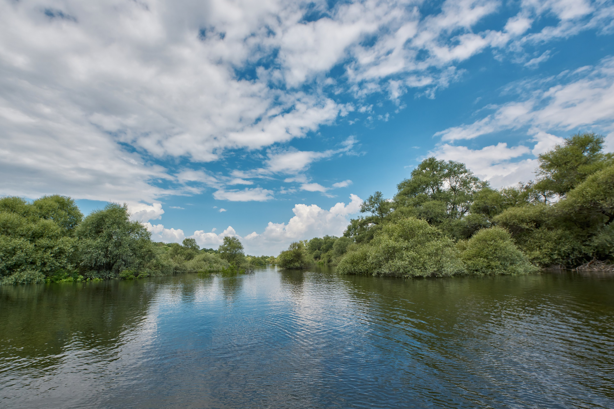 Краснодарский край, локация, фотосессия, САП, САП-прогулки, фото на САП-е, водохранилище, берег