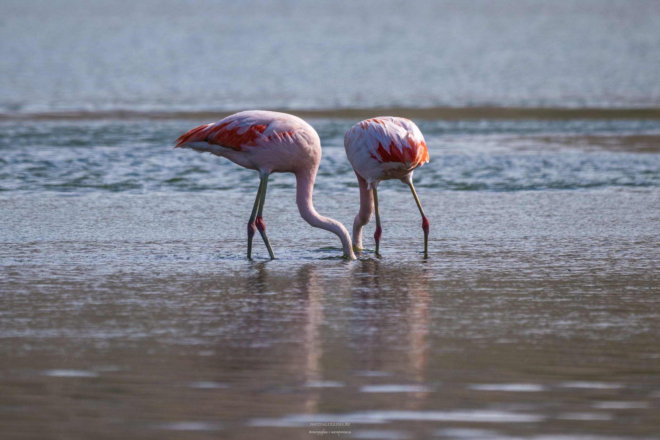 Ледник Перито-Морено, Лагуна Нимез и озеро Архентино. Авторские стильные фотокартины