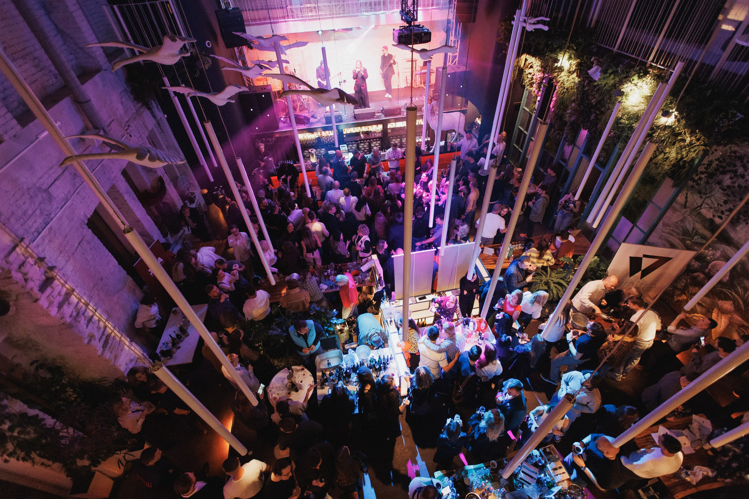 ВИННЫЙ ФЕСТИВАЛЬ. СВОИ. ФОТООТЧЕТЫ-СОБЫТИЯ-МЕСТА