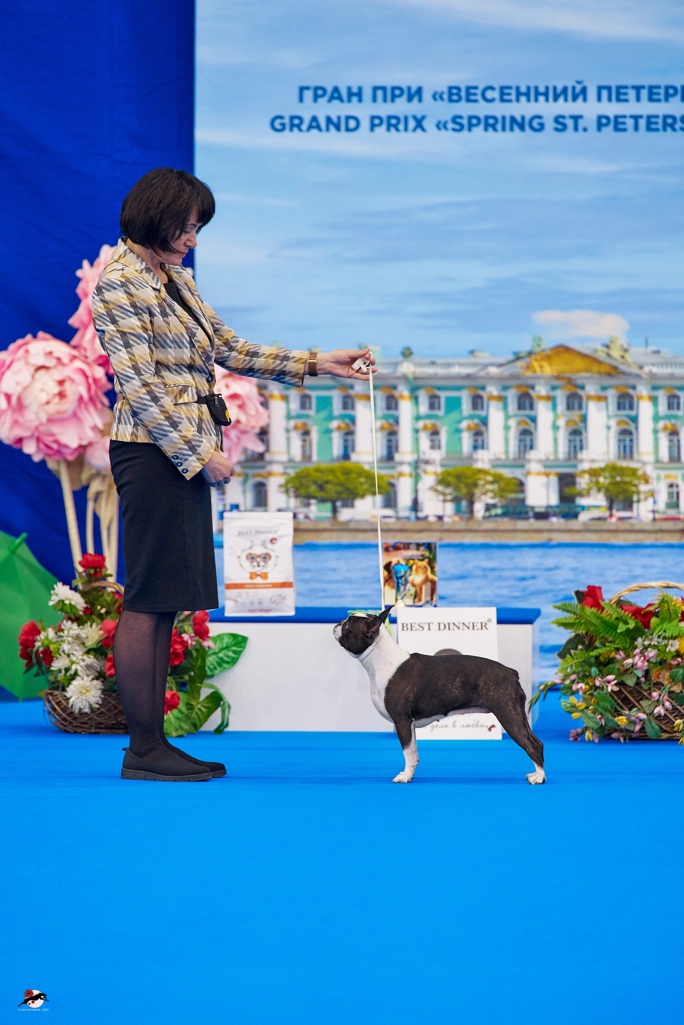 ГРАН ПРИ «ВЕСЕННИЙ ПЕТЕРБУРГ» & «СУПЕР КУБОК «ЭЛИТЫ»-2025»