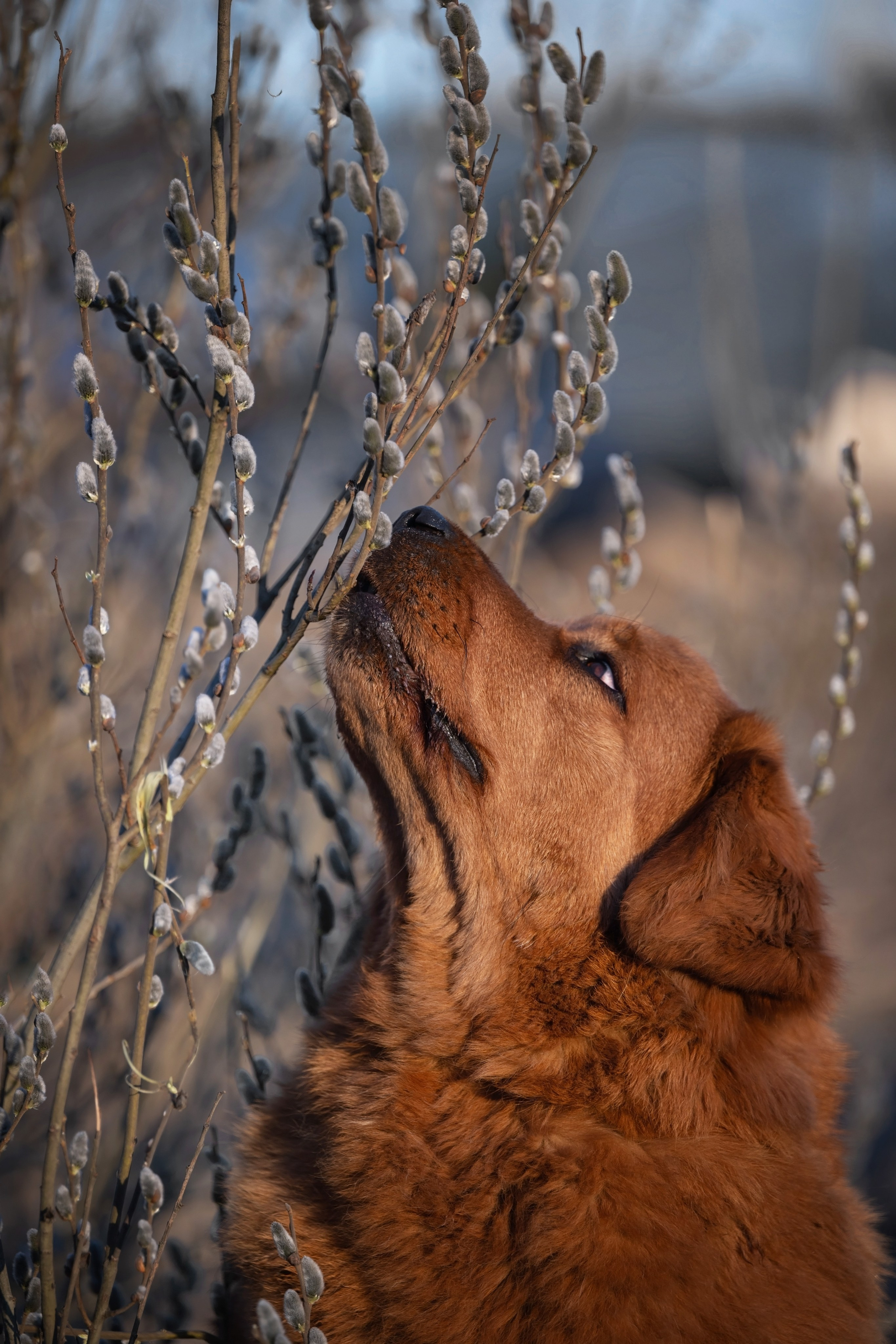Мои Злата и Фред. -