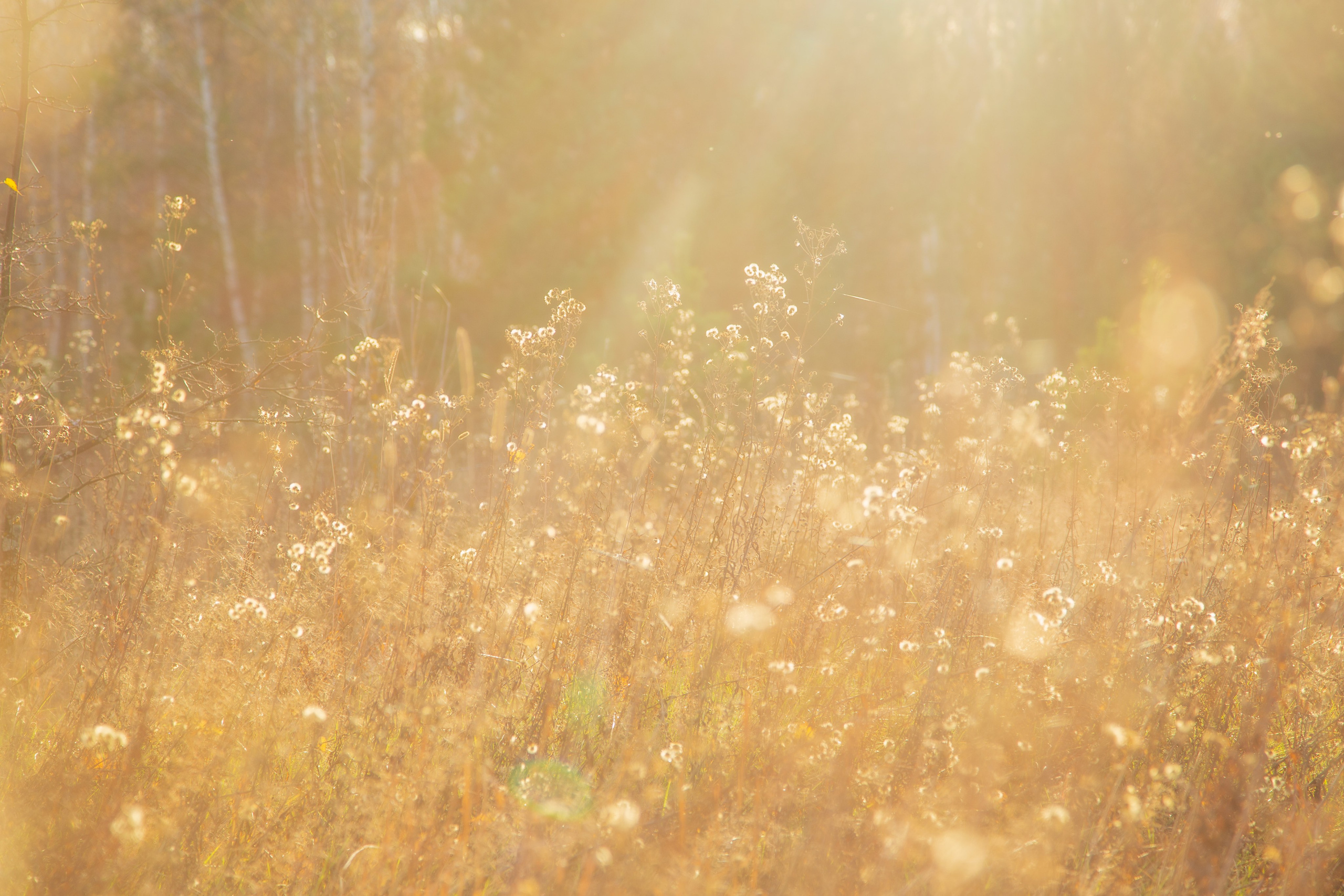 ТВОРЧЕСТВО. Творческая студия АЛНИфото
