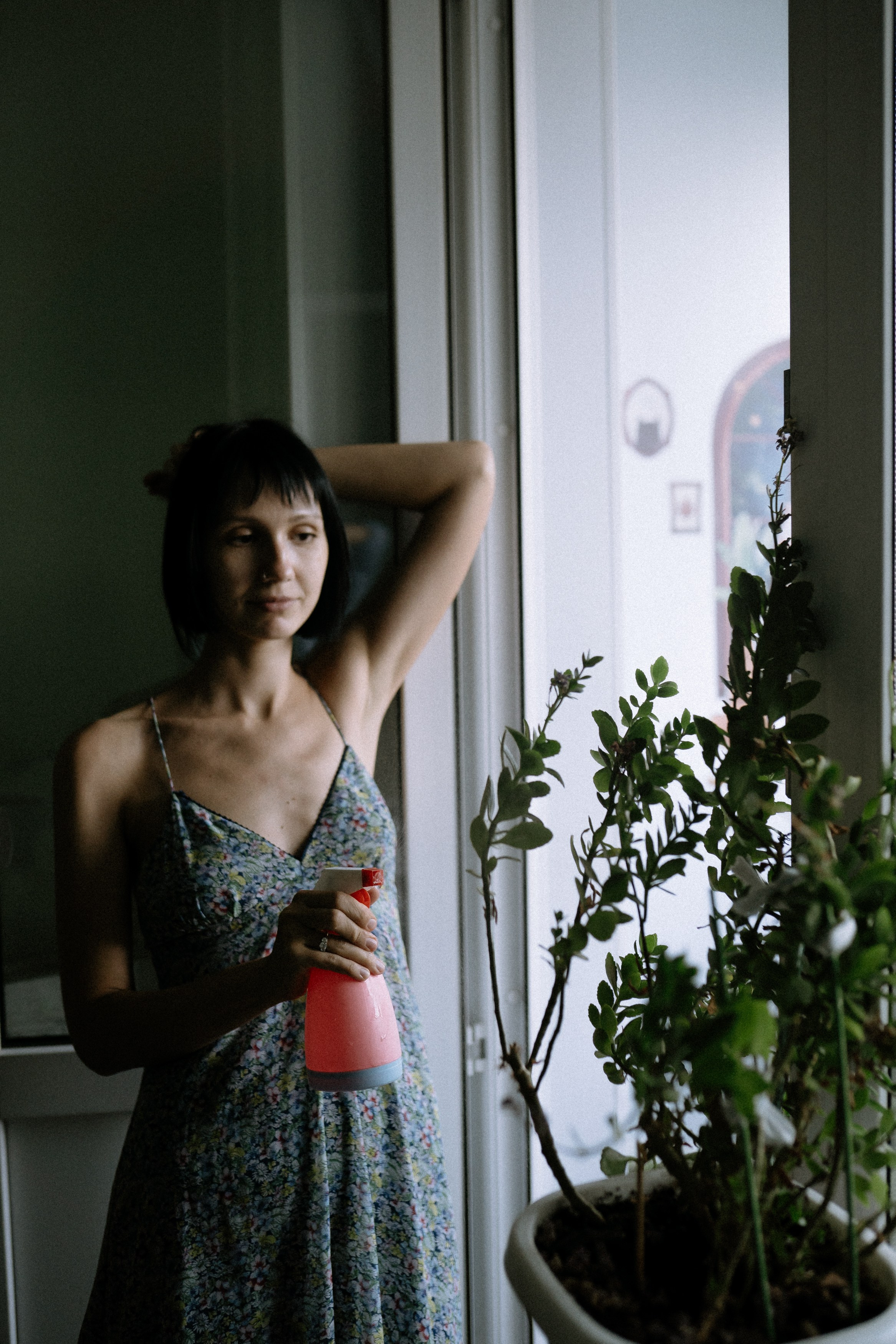 Мир, где рожден помидор. Андрейко Надежда