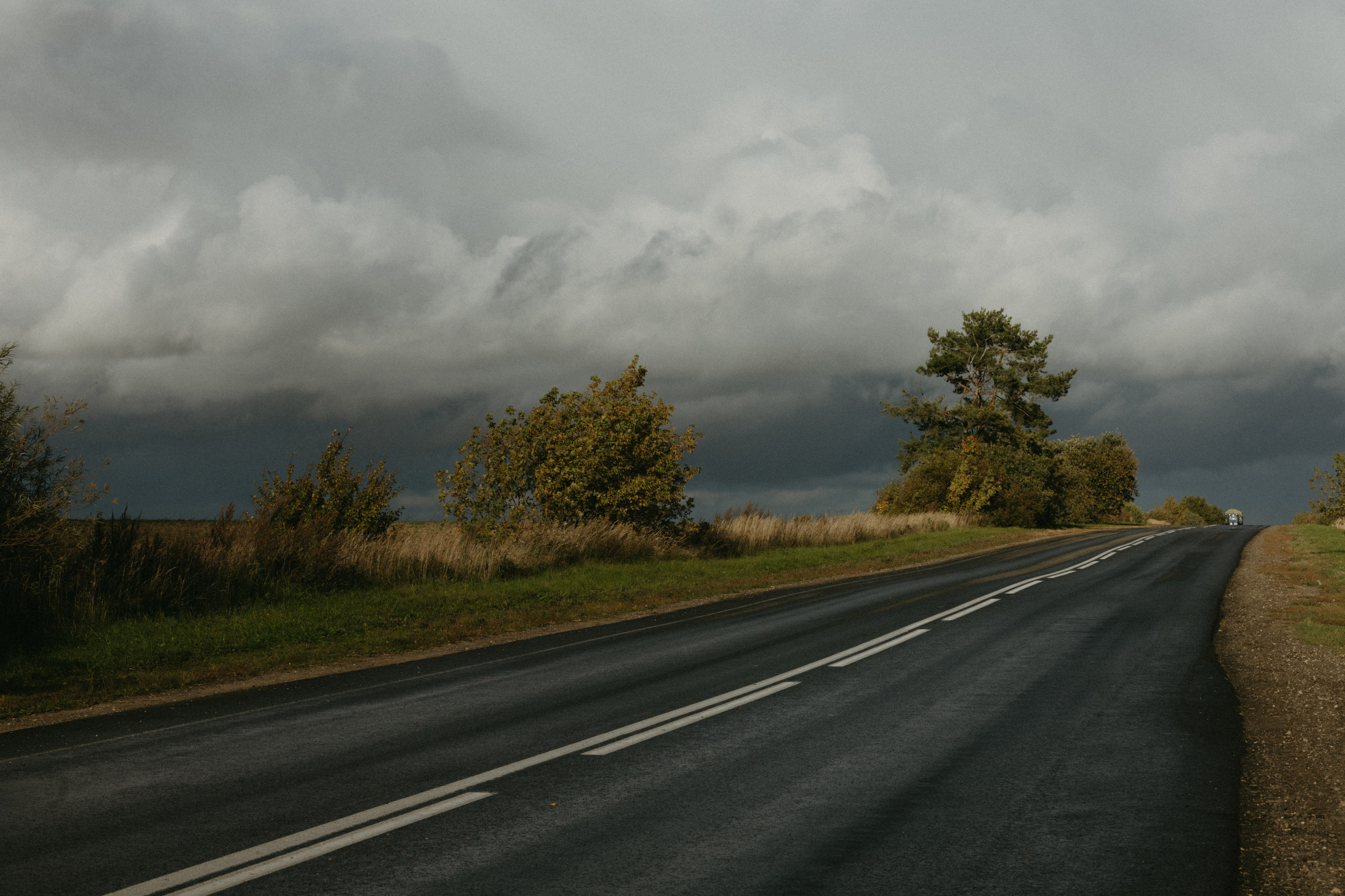 За городом. Про любовь