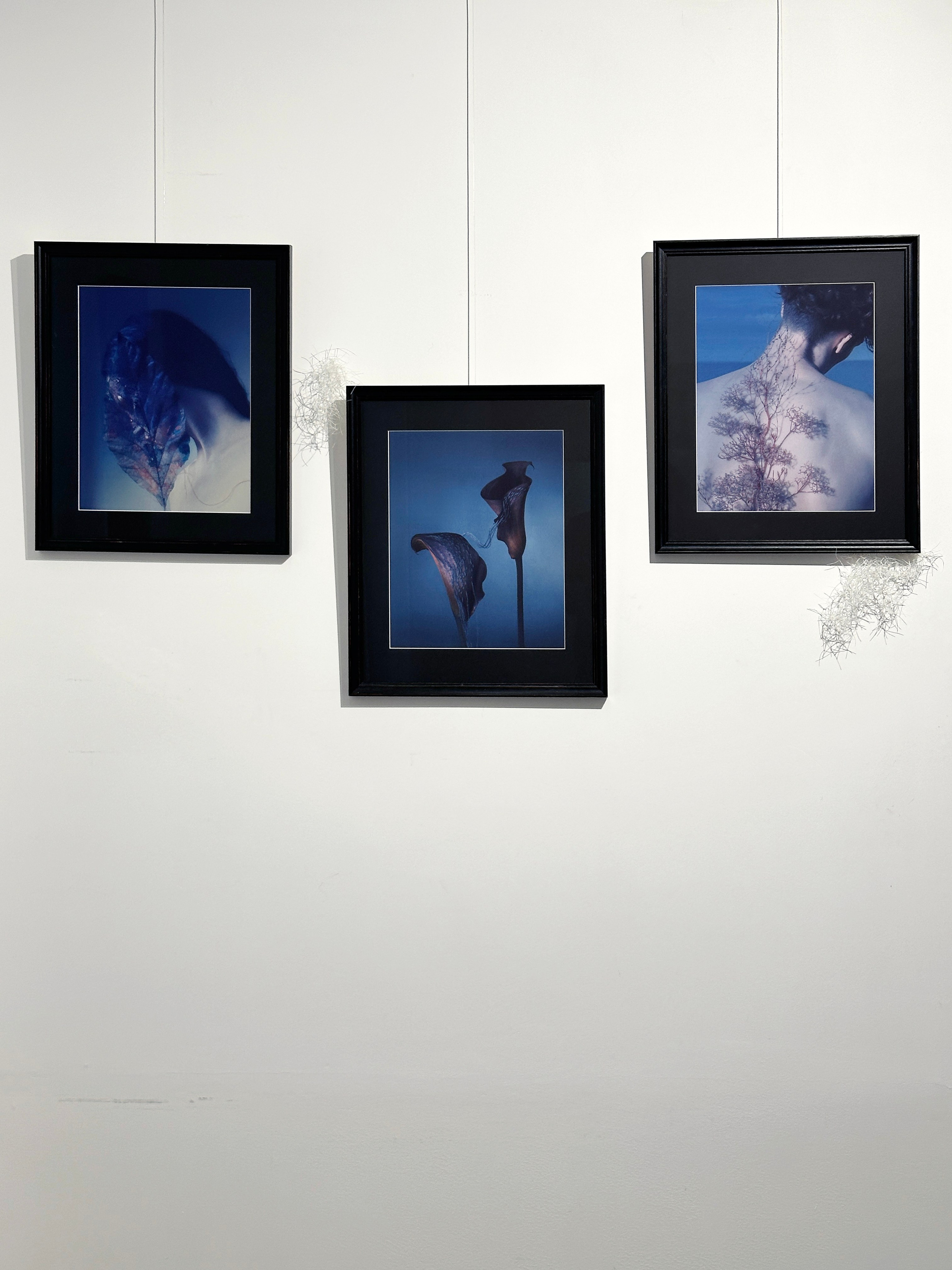 Проекты. Художественная фотография в Санкт-Петербурге Алина Берёзкина