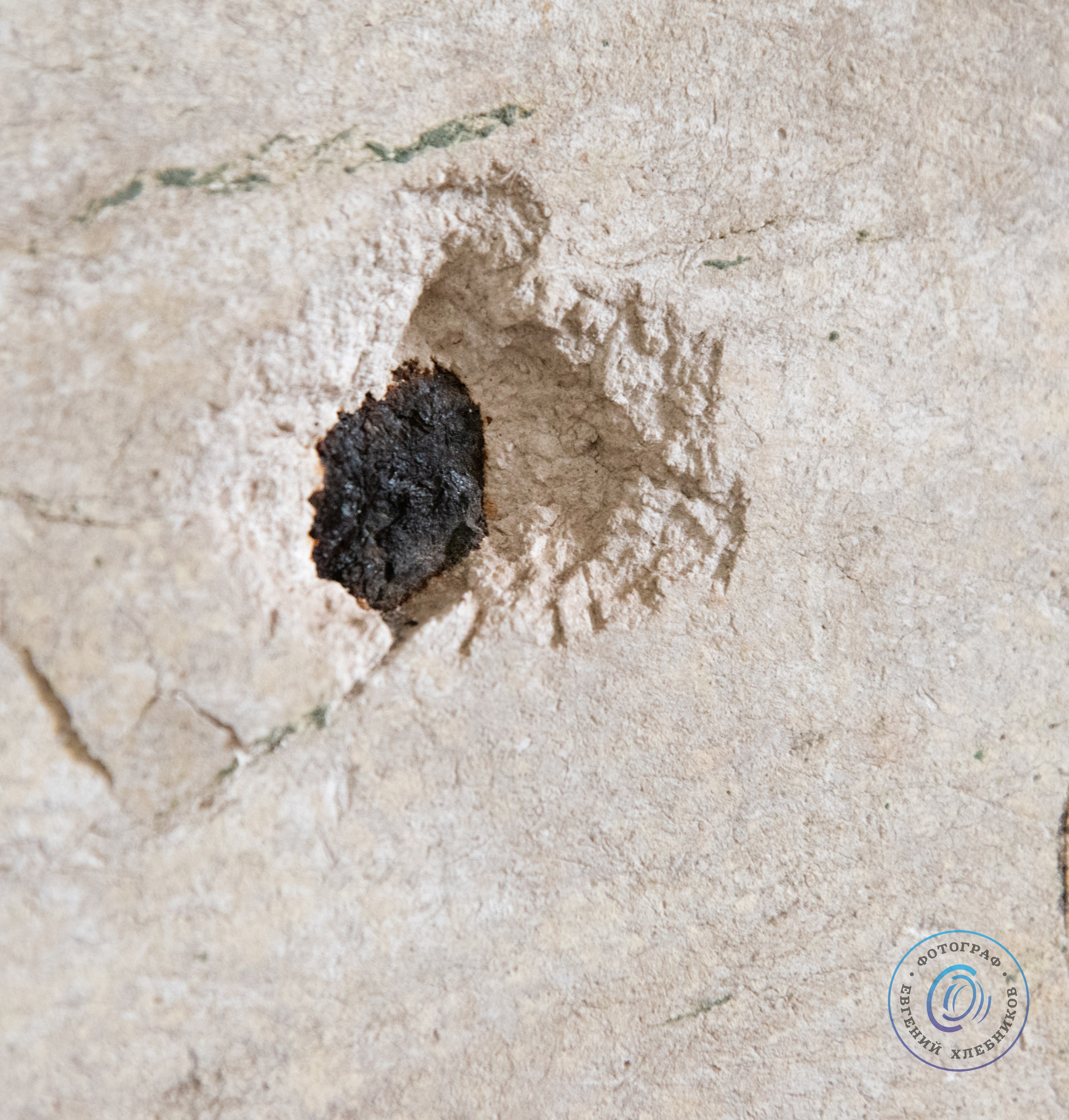 Фотозарисовки с паломничества по монастырям Ростова Великого. Event-фотограф Евгений Хлебников