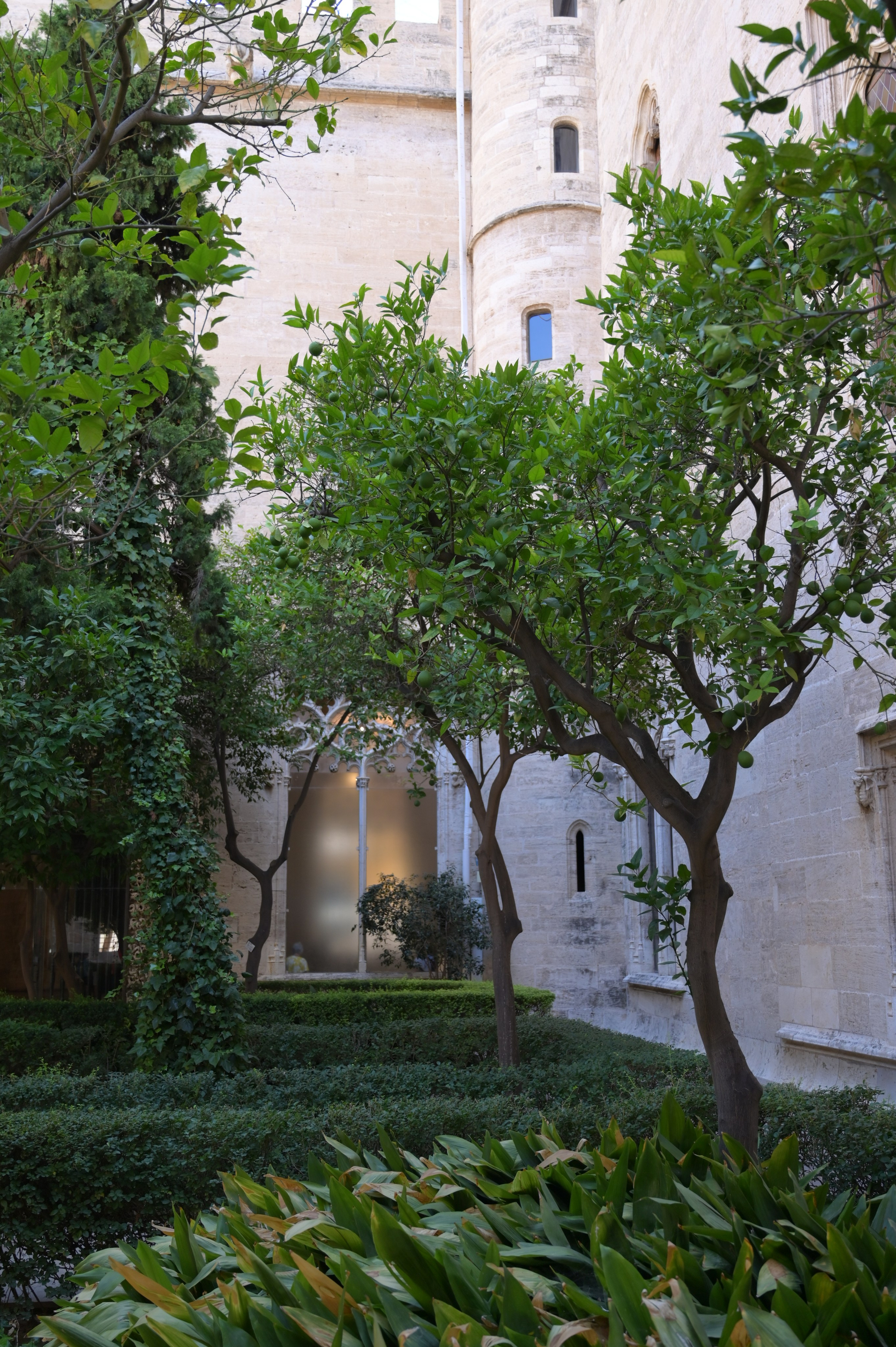 Шёлковая биржа. Гид и фотограф в Валенсии Новиков Михаил