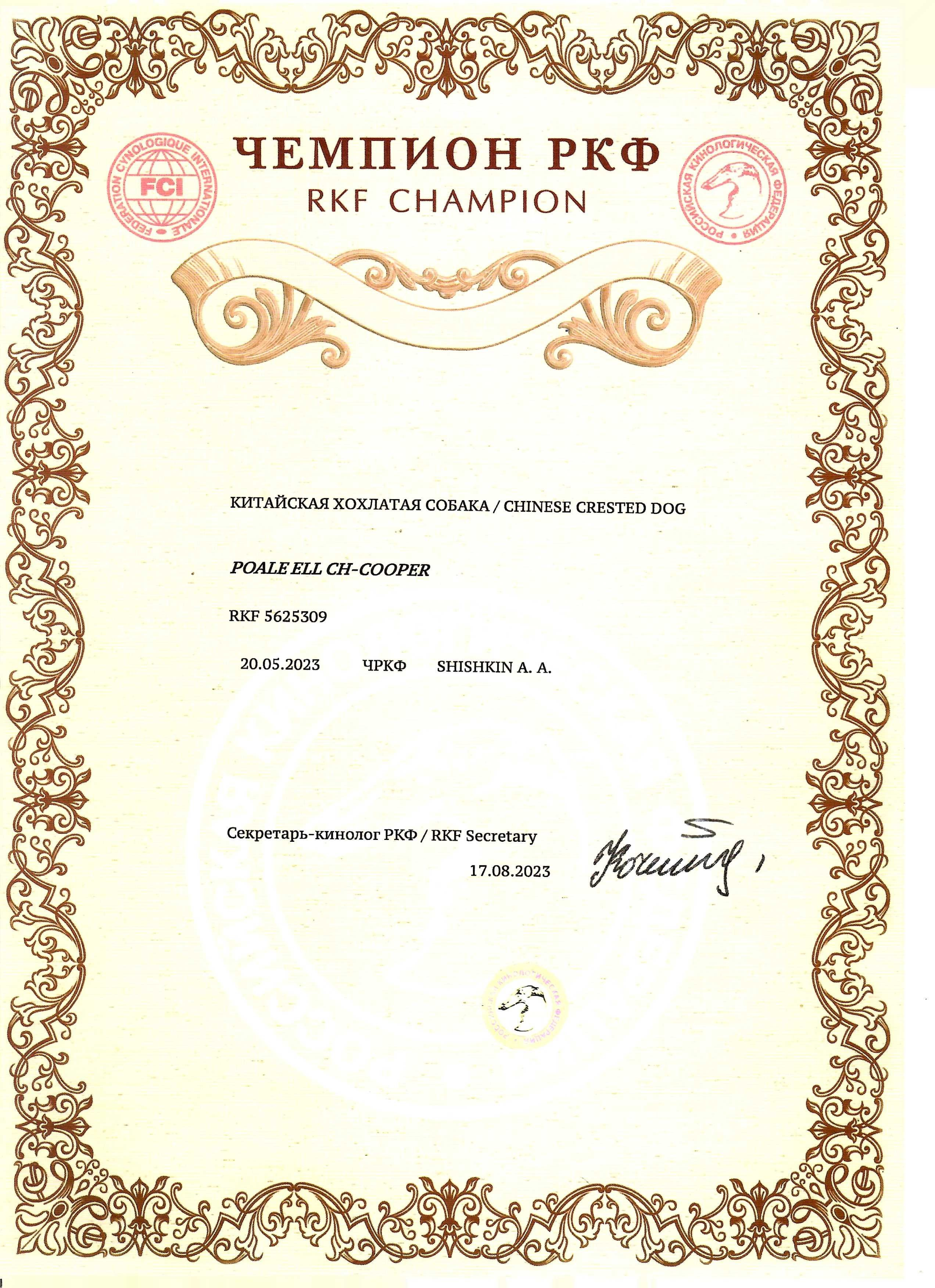 Poale Ell Cooper. Chinese Crested Dog Kennel Poale Ell