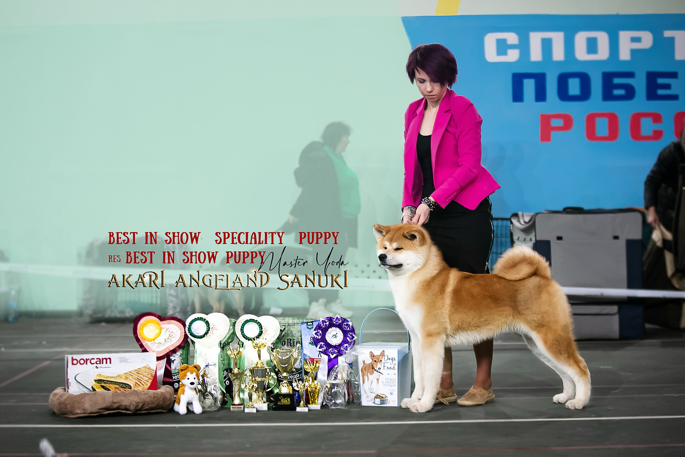 Собаки питомника Bueno Pardo. Питомник собак Акита, Хаски, Корги