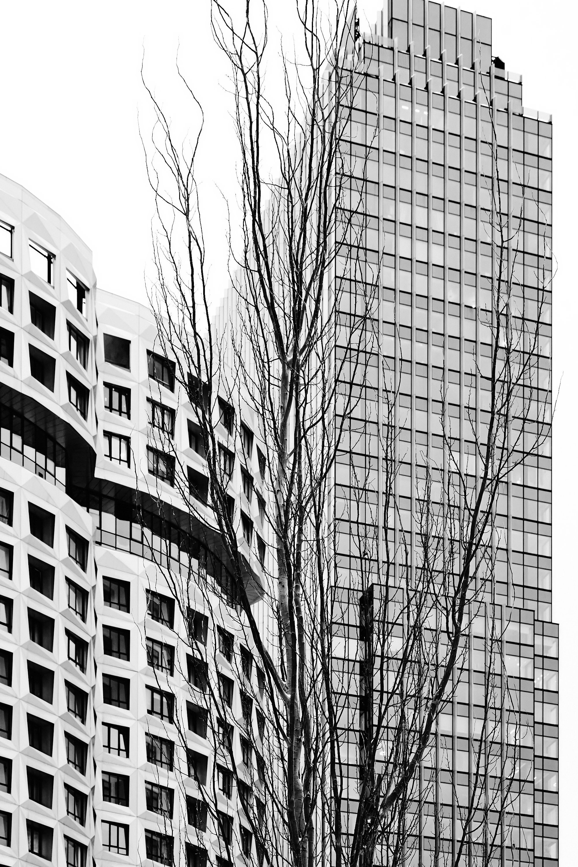 Фотосессия района ЗИЛАРТ зимой 2026 года. Константин Камышников: интерьерный фотограф в Москве и Подмосковье