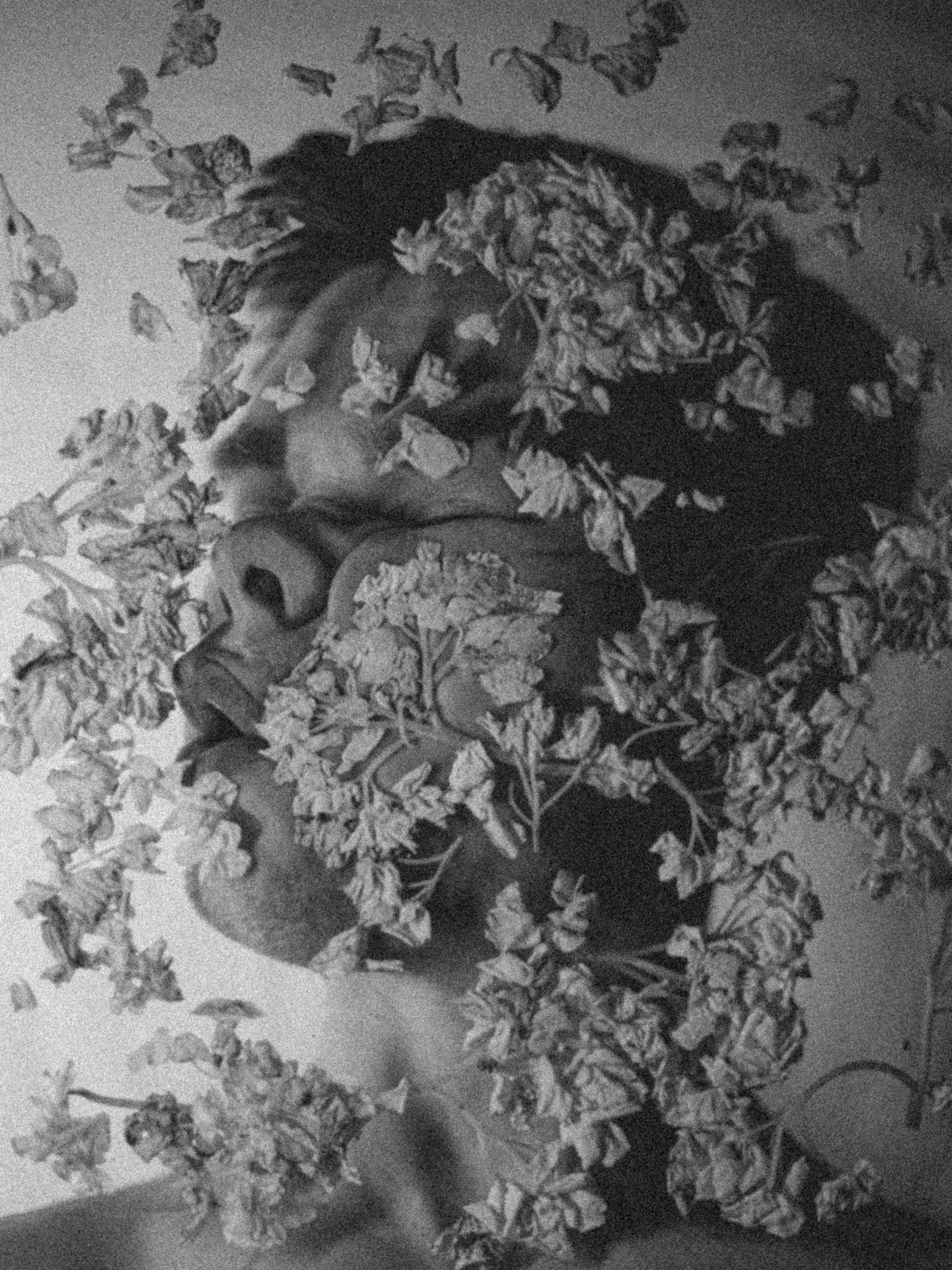 Обо мне. Ostryakov Daniil Photographer