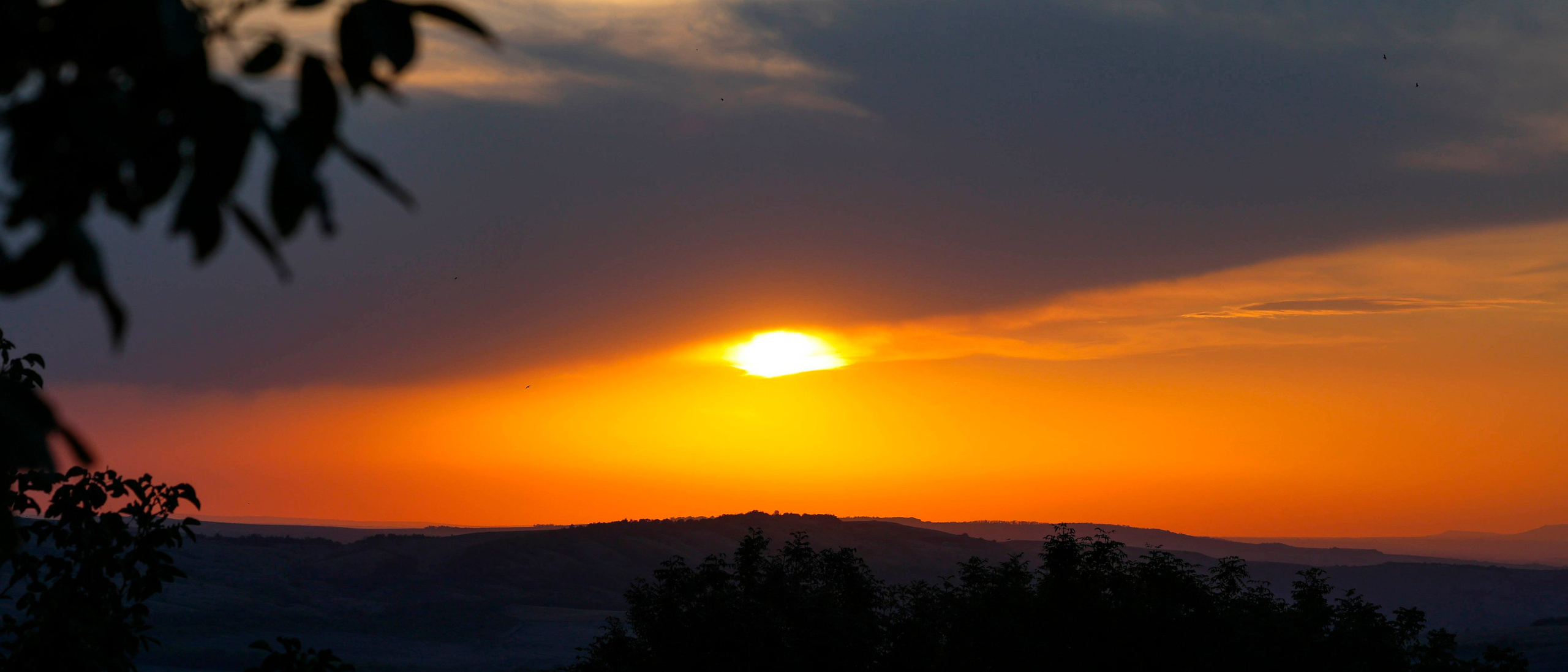 Мария Алексеева. Фотограф в Москве