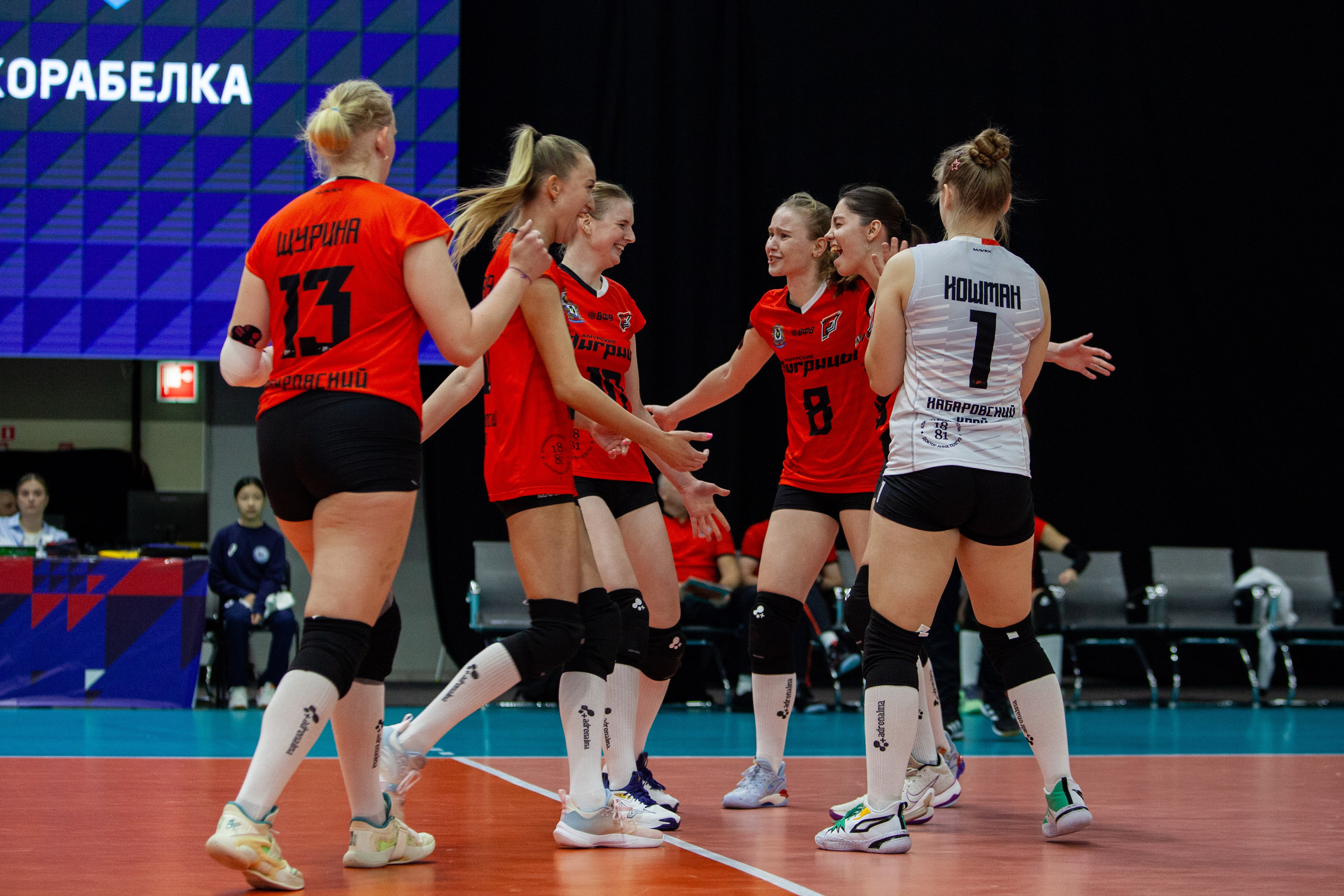 Один день из тура чемпионата России по волейболу. Кутузов Евгений Фотограф в Южно-Сахалинске