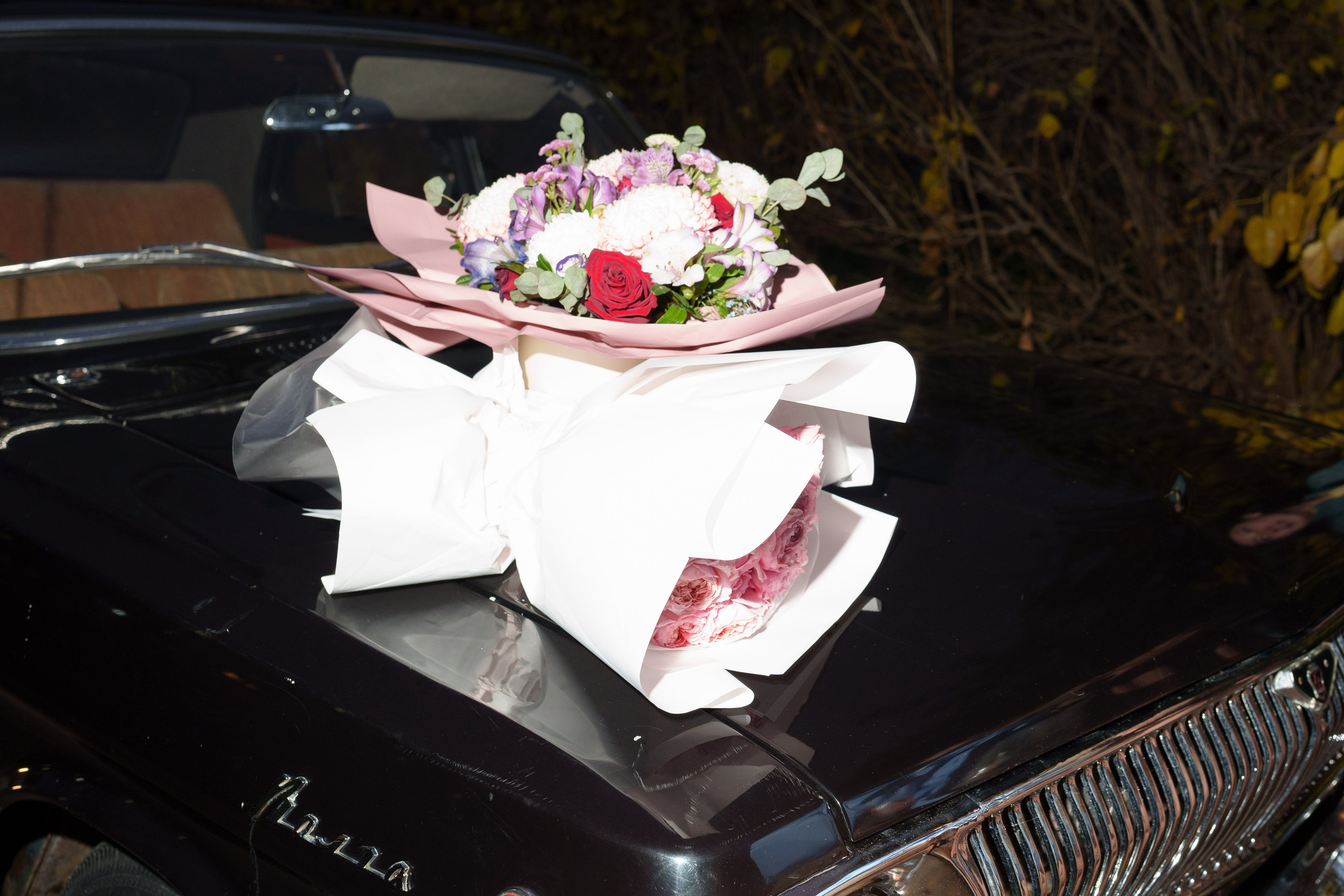 Юбиляры — Николай&Надежда