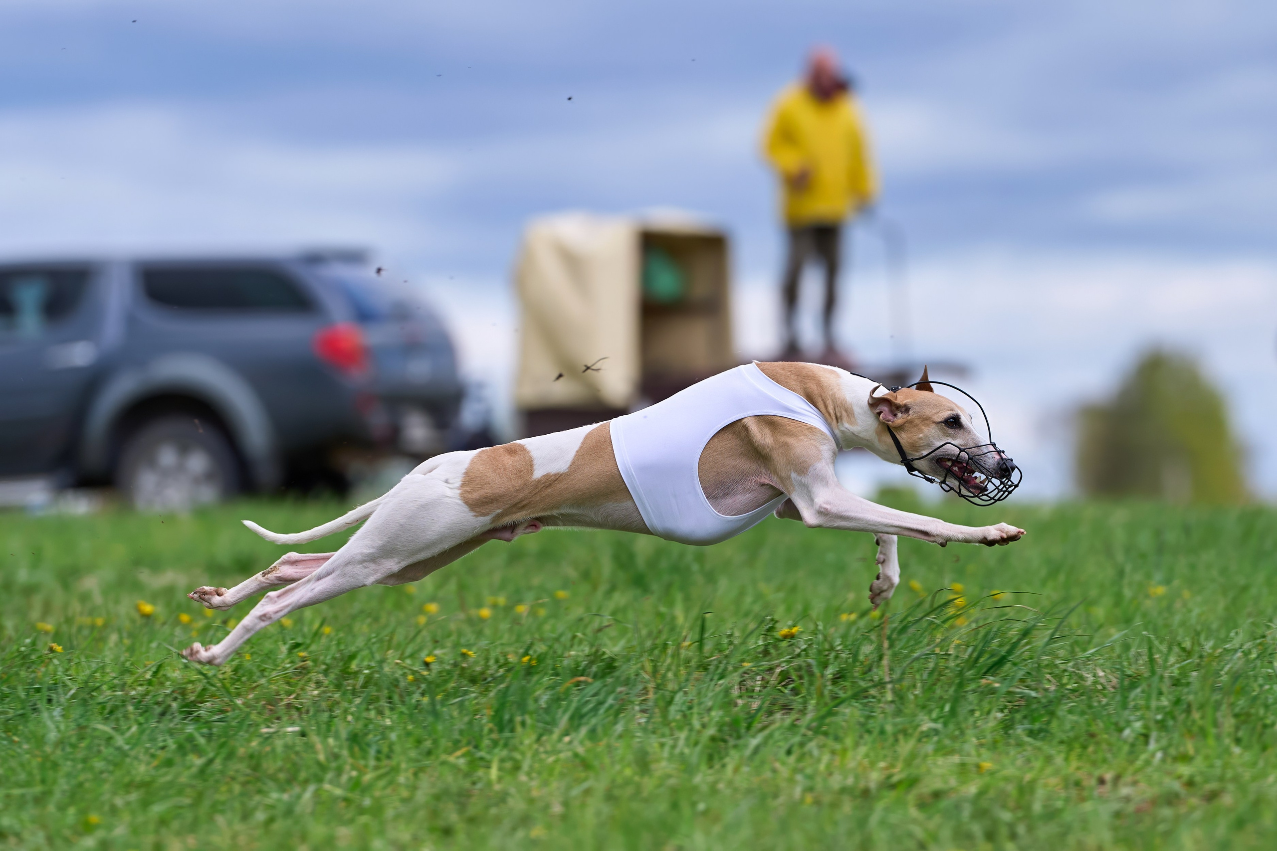 ПЧРКФ по курсингу. Фотограф-анималист Михаил Манухин