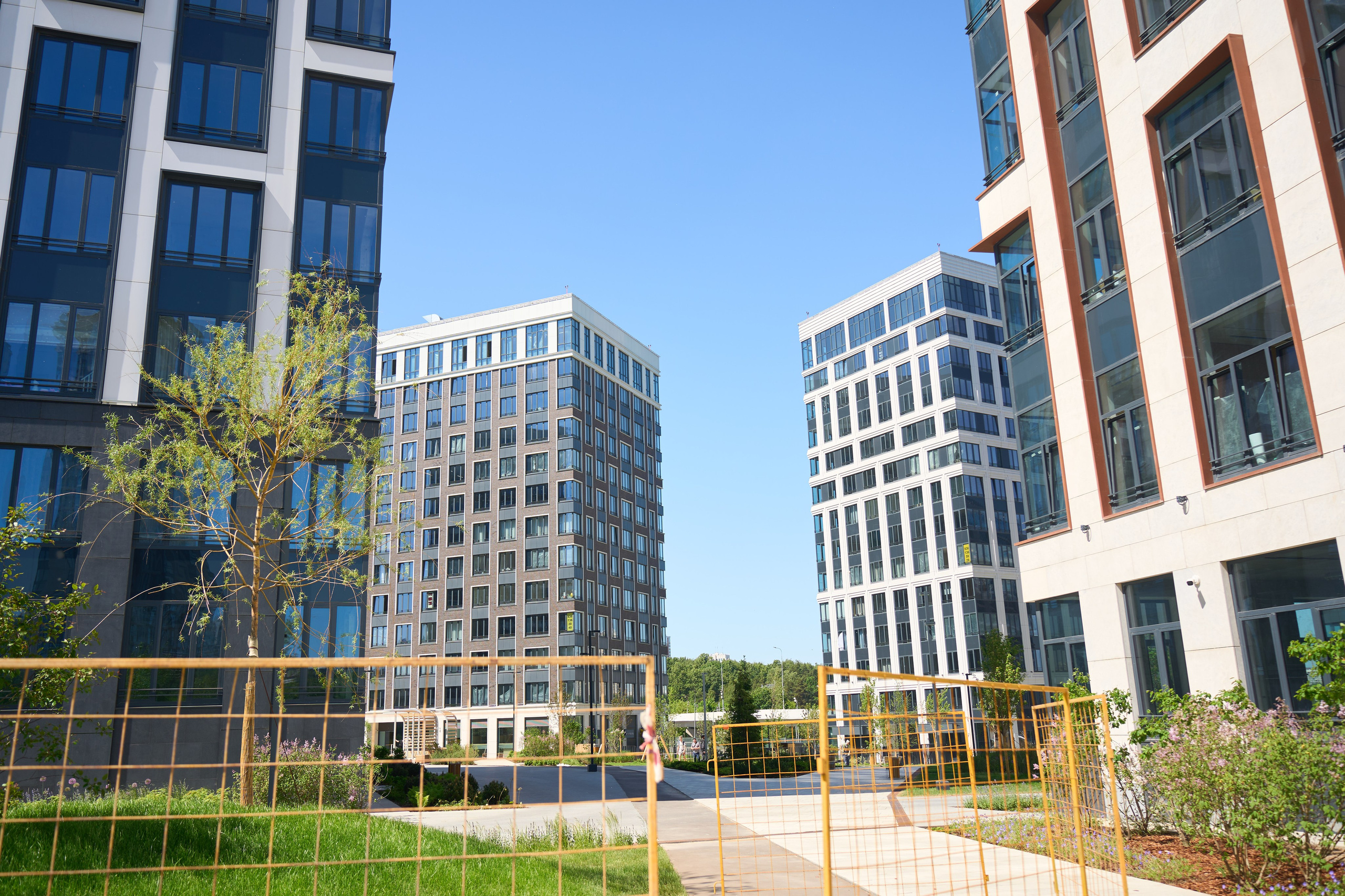 Репортажная фотография экскурсии в Москве. Репортажный фотограф в Москве Вадим Галанин