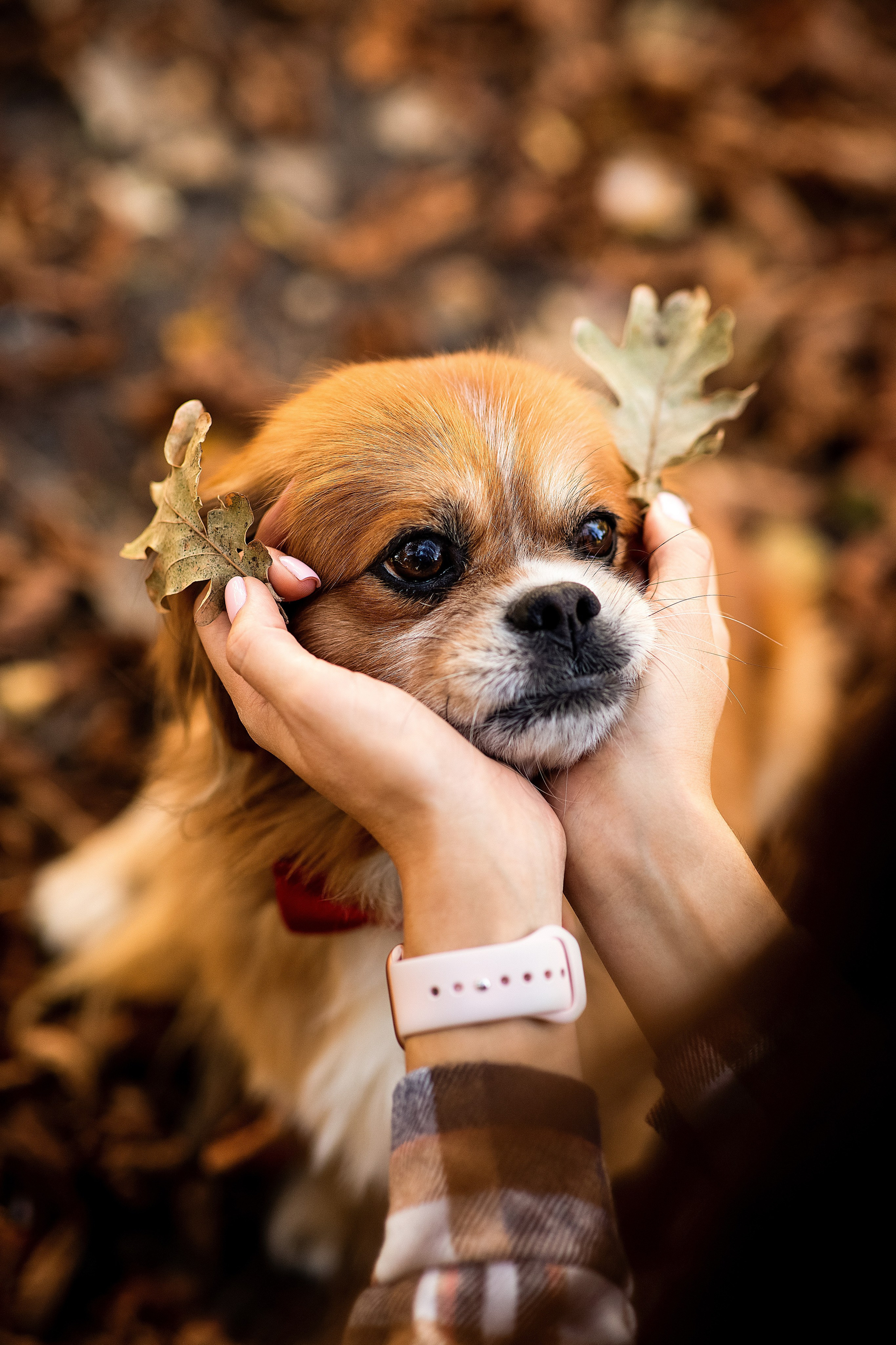 Фотосессии. Свадебный фотограф Ростов-на-Дону Виолетта veslers.ph