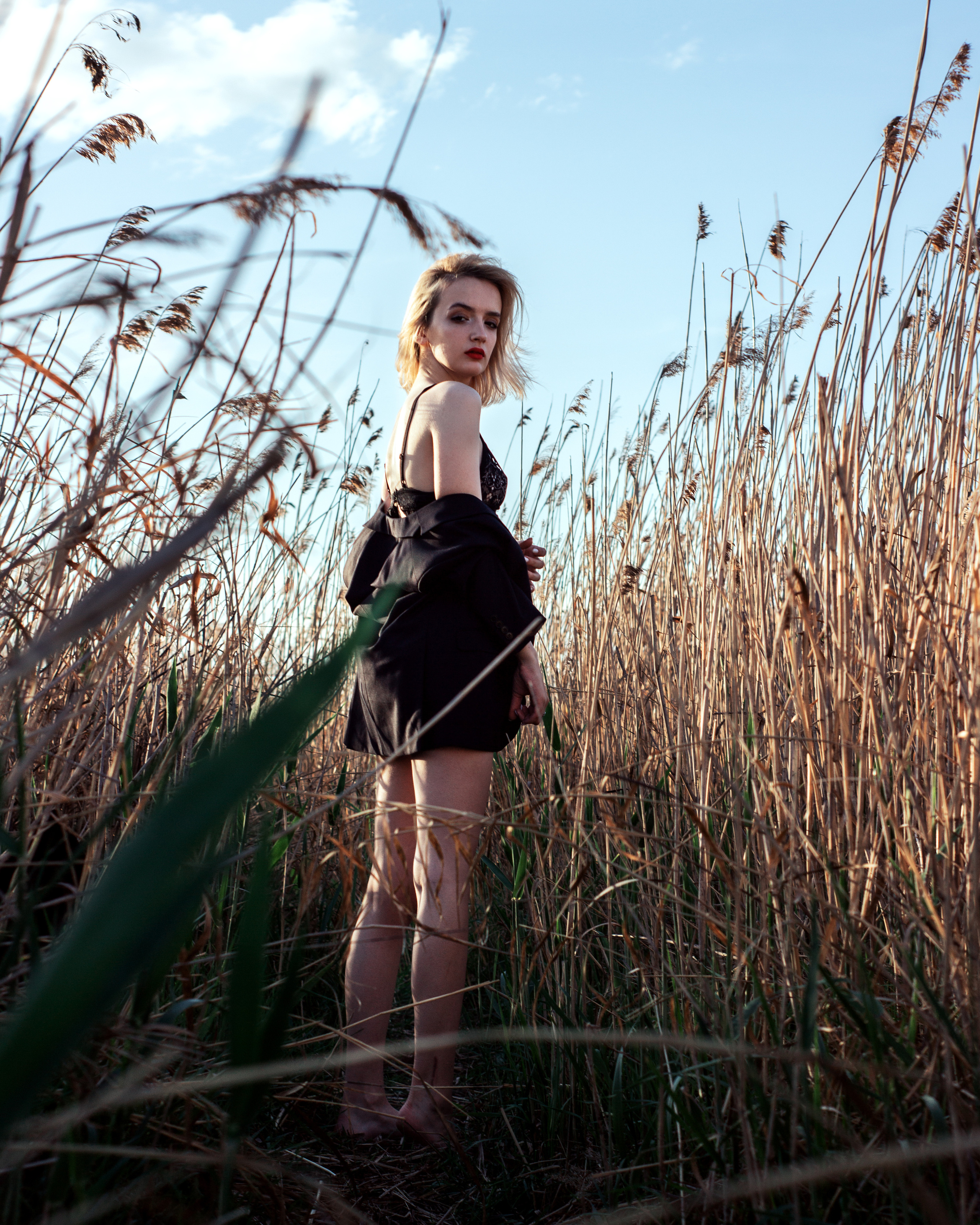 Фотография девушки в белье и классическом пиджаке в колосьях желтого камыша Фотограф Владислав Антоненко