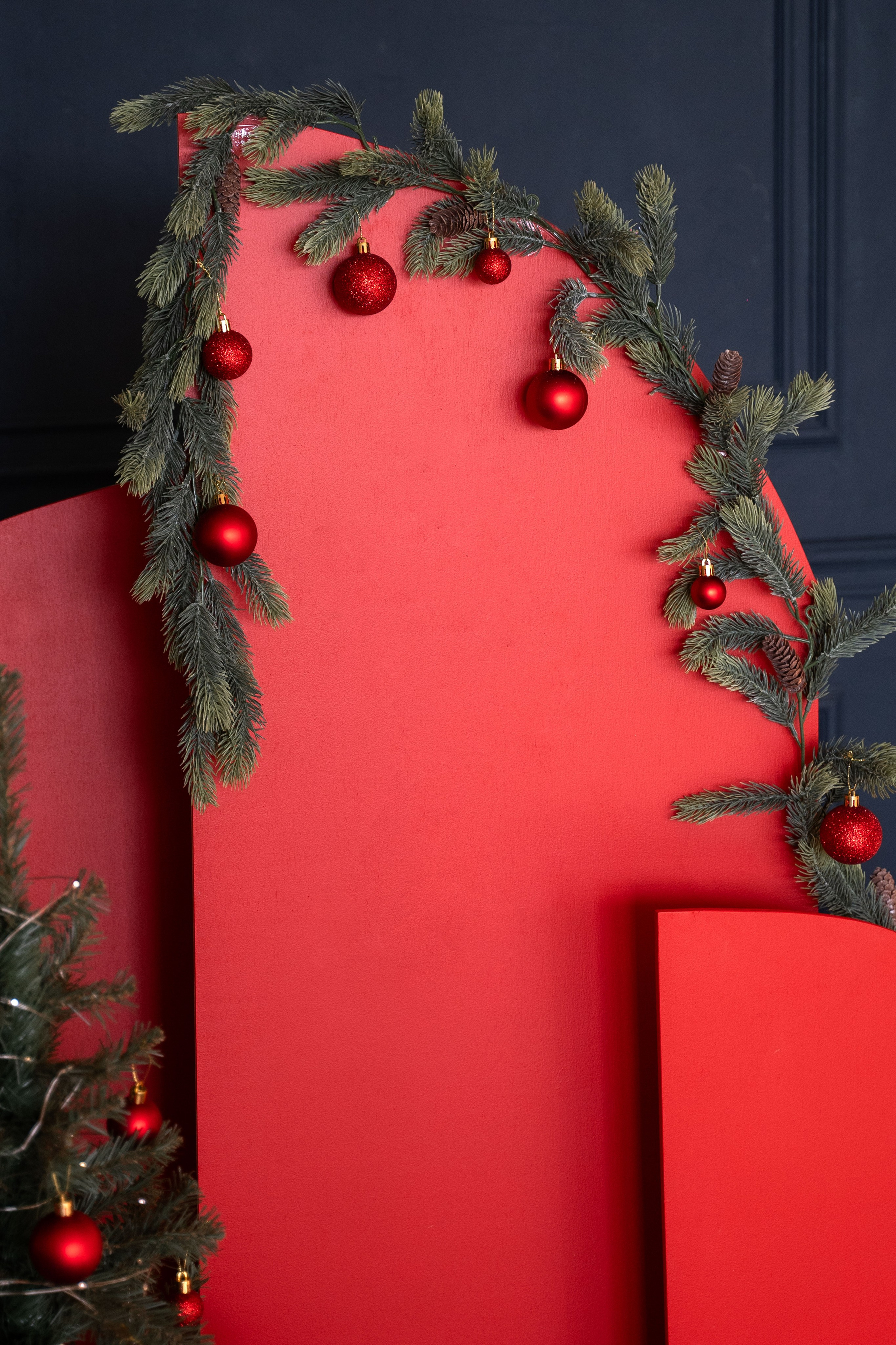 Фотостудия. Фотограф Вера Зверуго в Орле