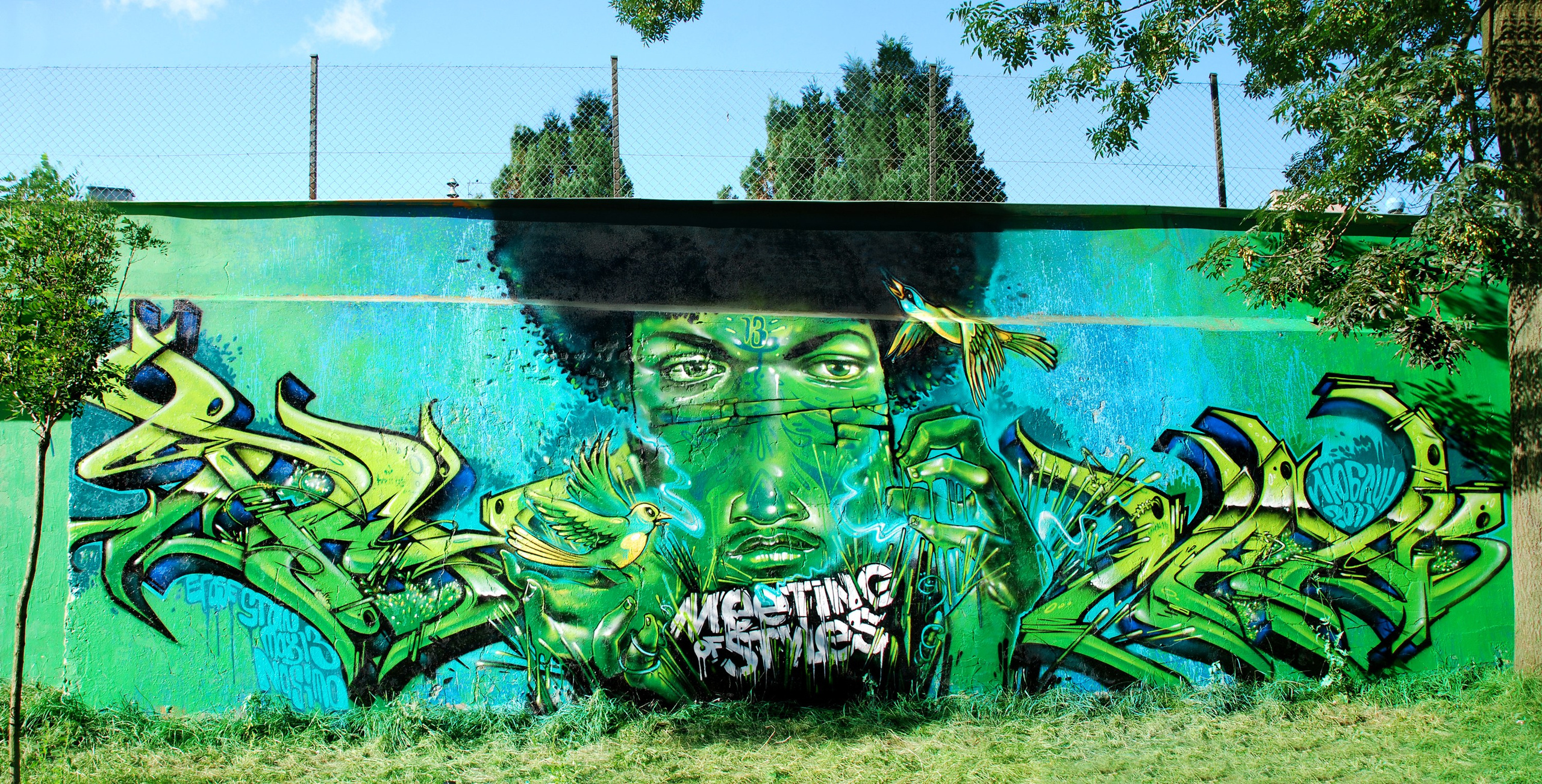 Graffiti. Alexander Stan Shimanov