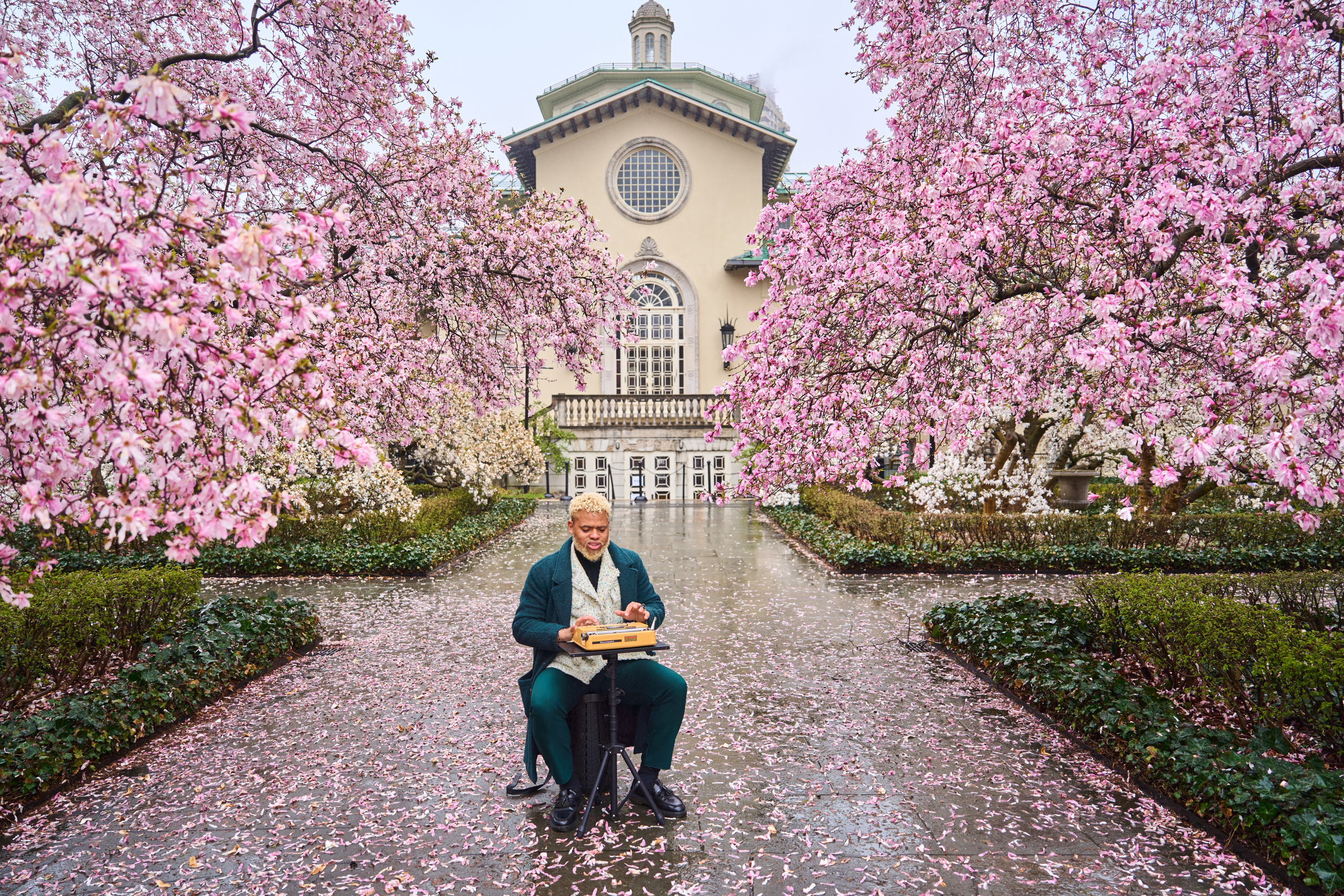 Photographer | Videographer Alisa Vvv