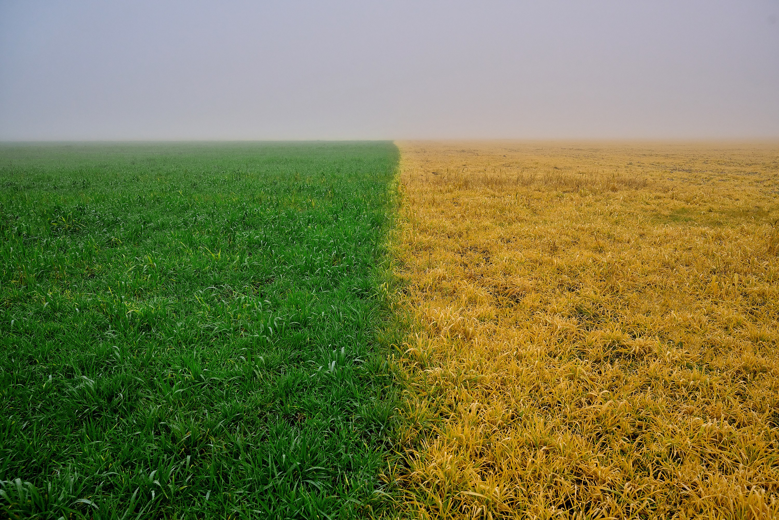 Пейзажи. Яркие фото на Чёрном море