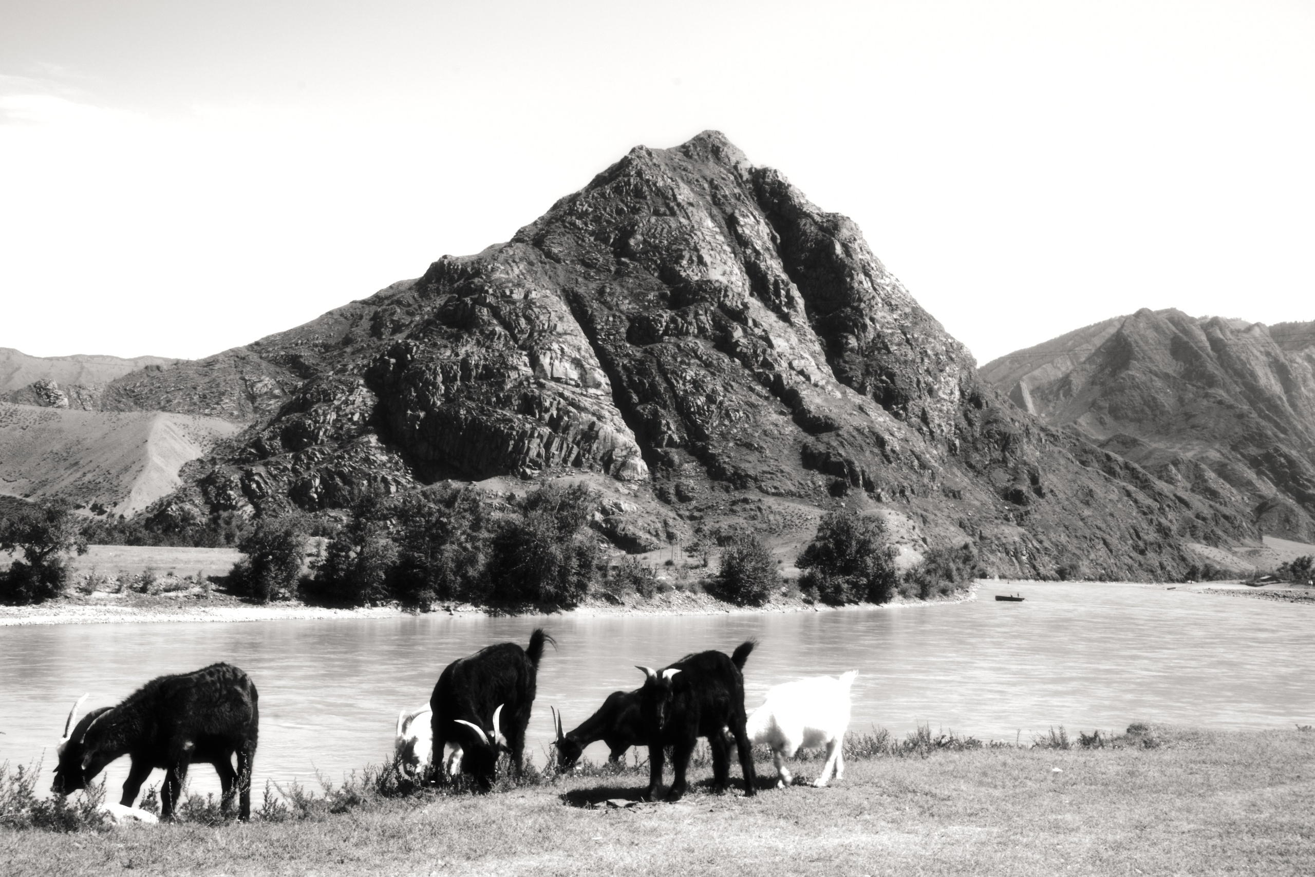 Горный Алтай — концептуальная черно-белая фотография: Фотосерия «Экспедиция 2025». Izma photos