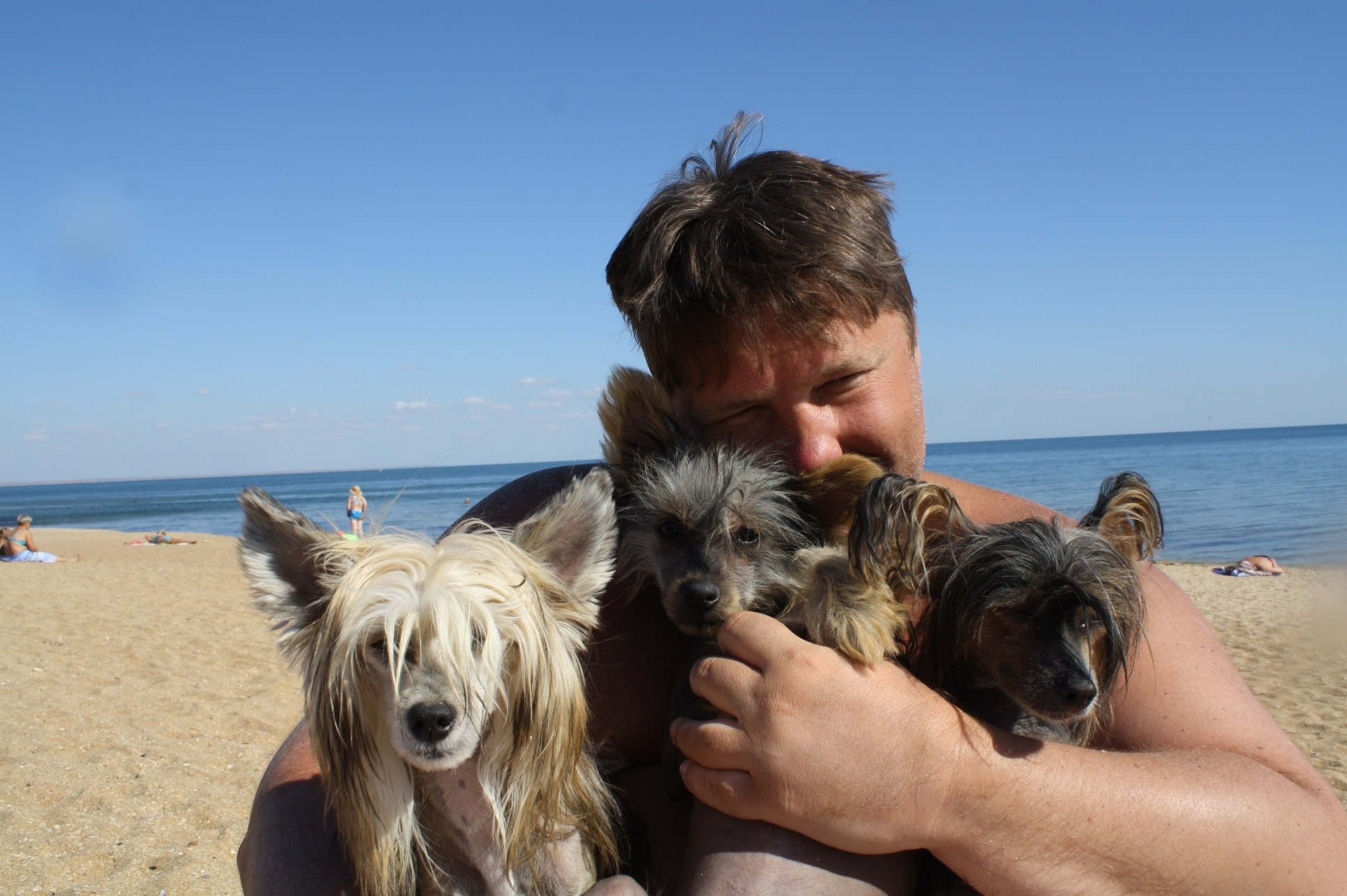 Dolzhanskaya Spit. Chinese Crested Dog Kennel Poale Ell