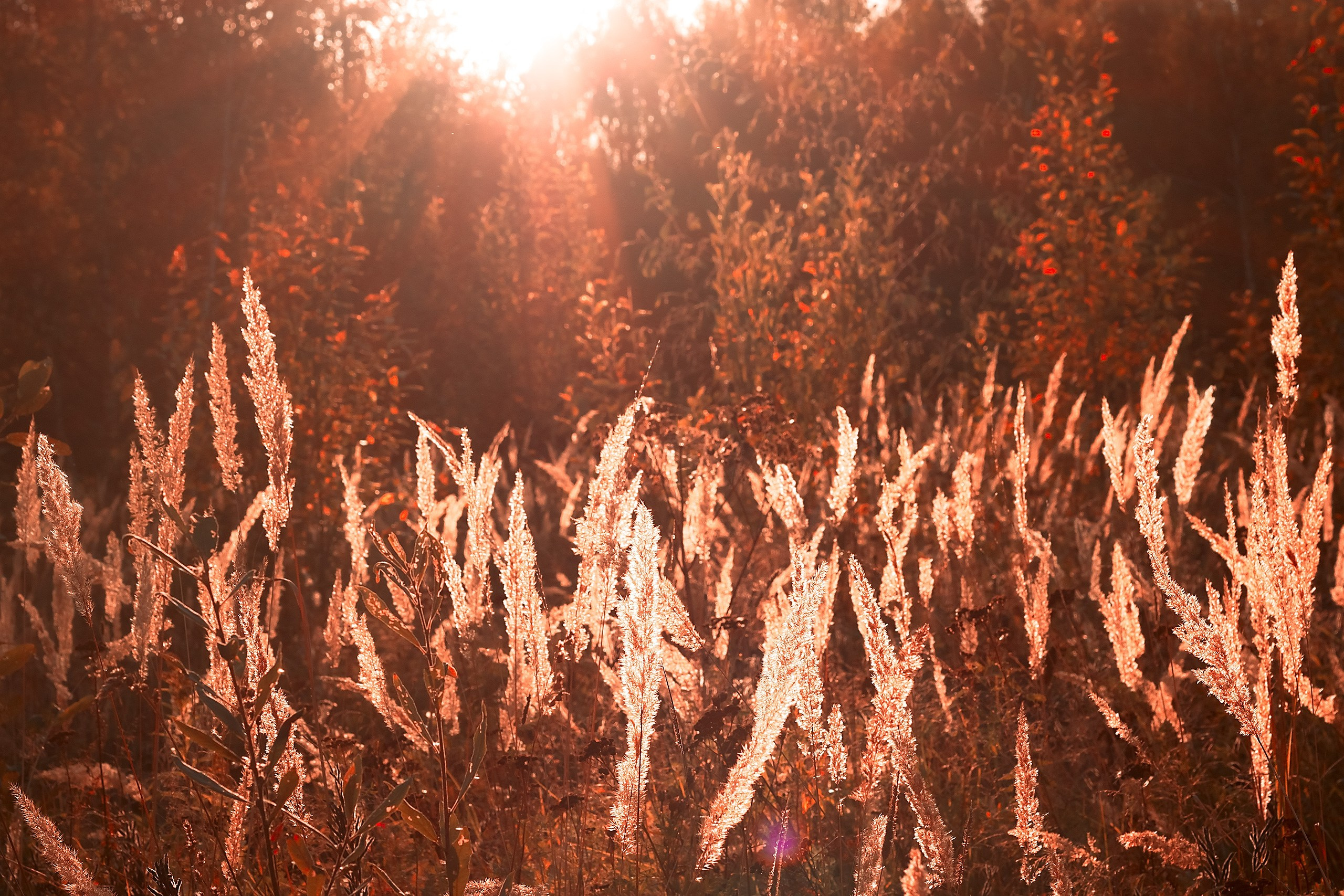 Есть люди «закаты» и люди «рассветы». Аmat Victoria Сuram