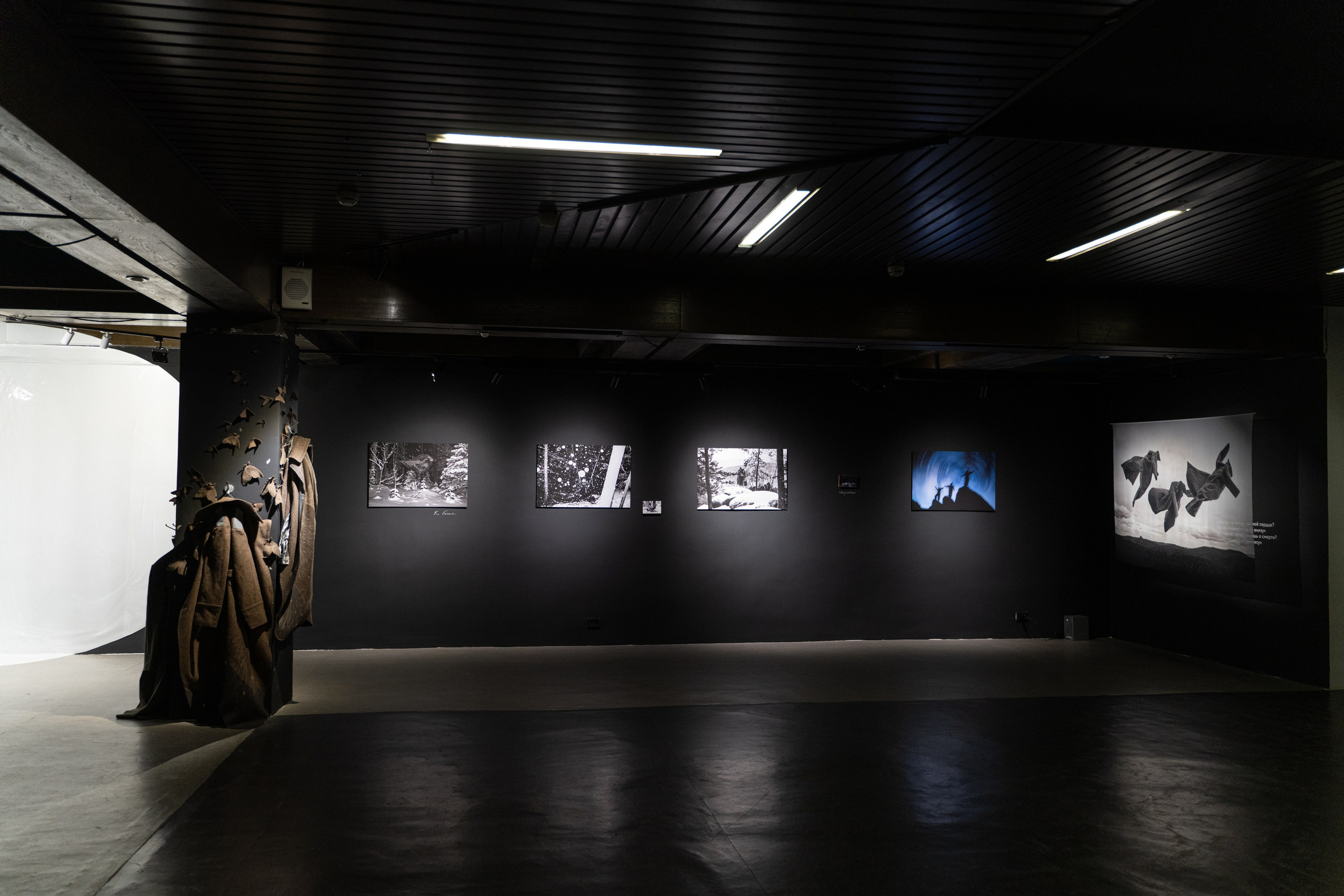 Пристанище. Элина Гусарова