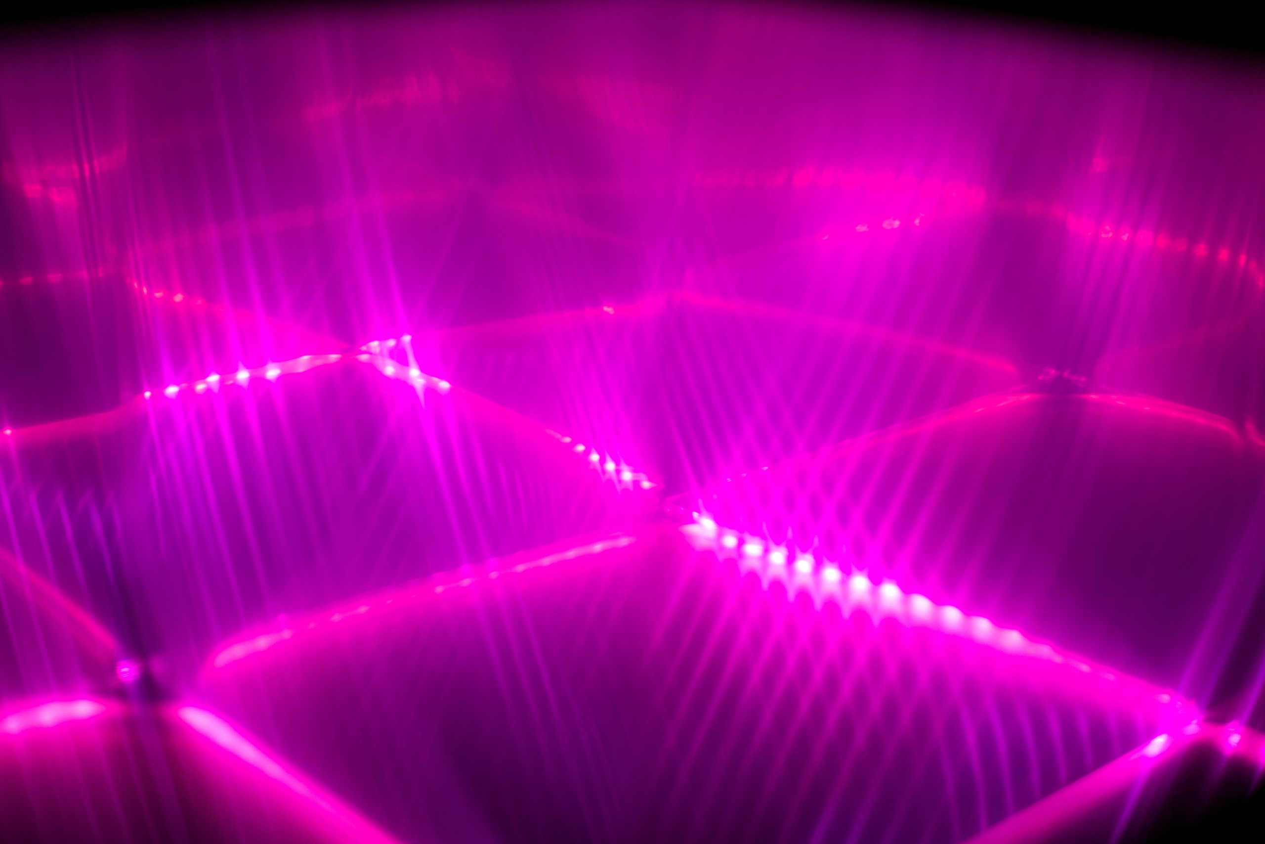 SOS.Sound Of Survivor. Aleksandra Mikhailova