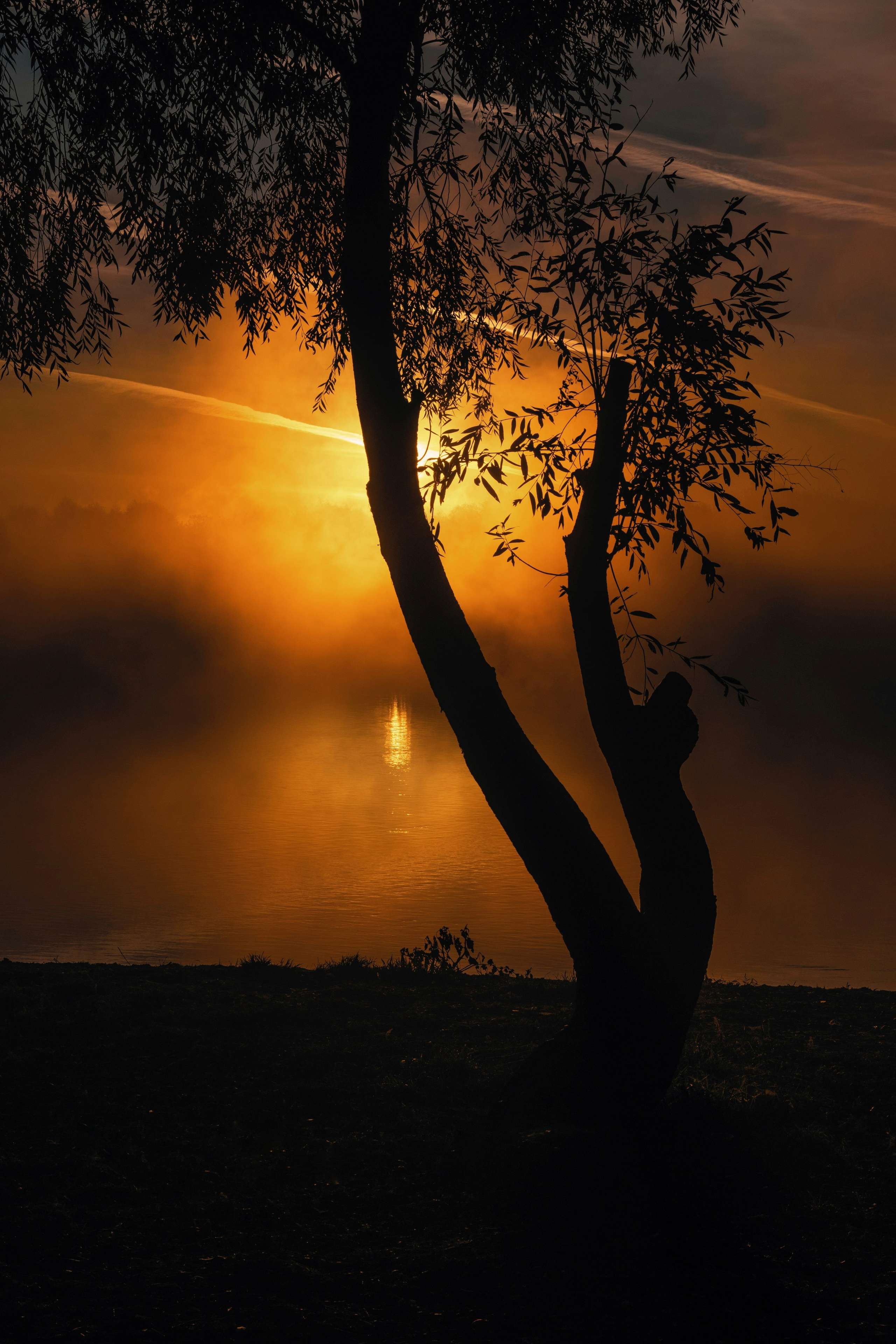 Волшебное утро в первый день октября. С любовью, фотохудожник