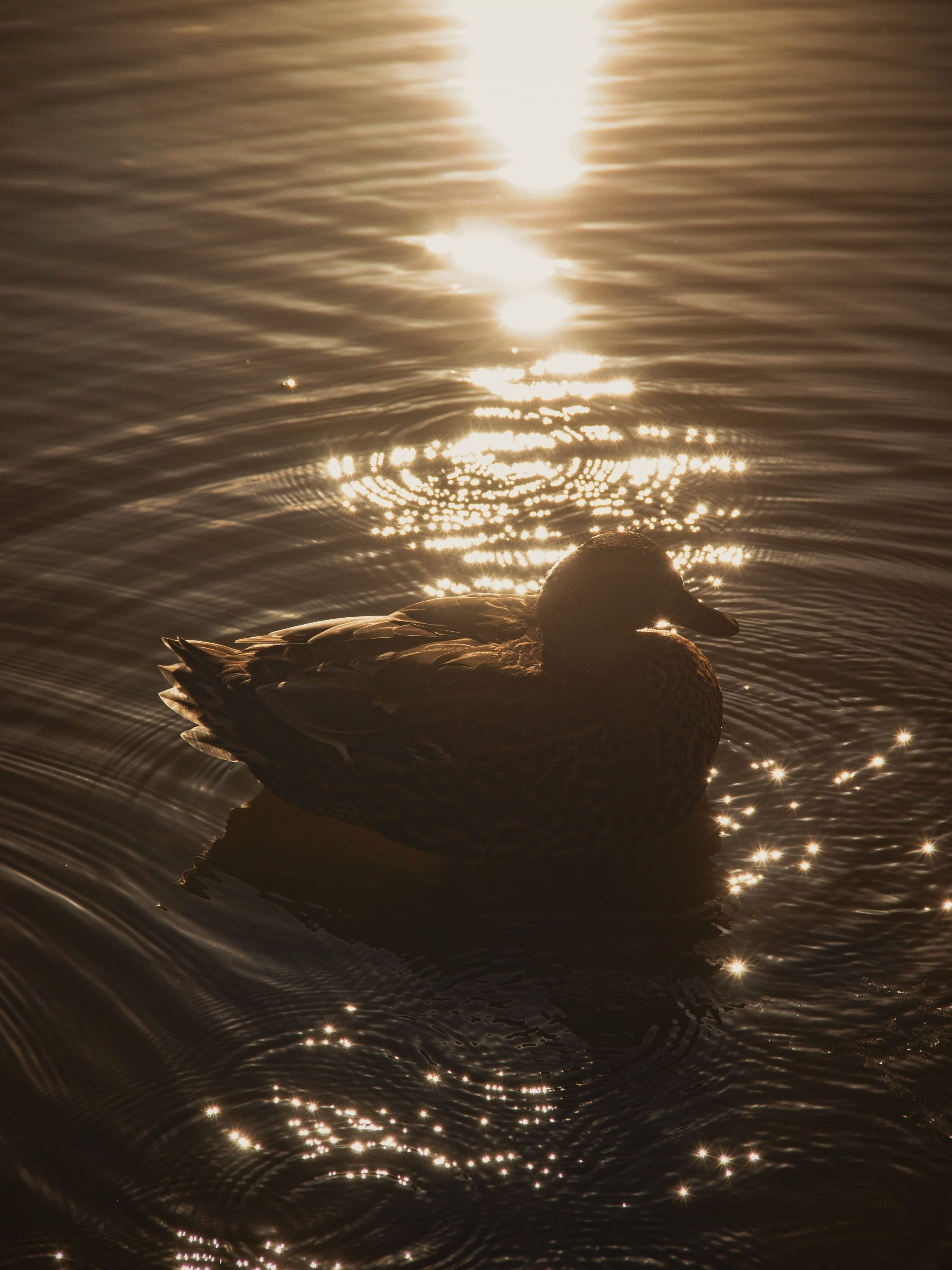 Танец света и воды. С любовью, фотохудожник